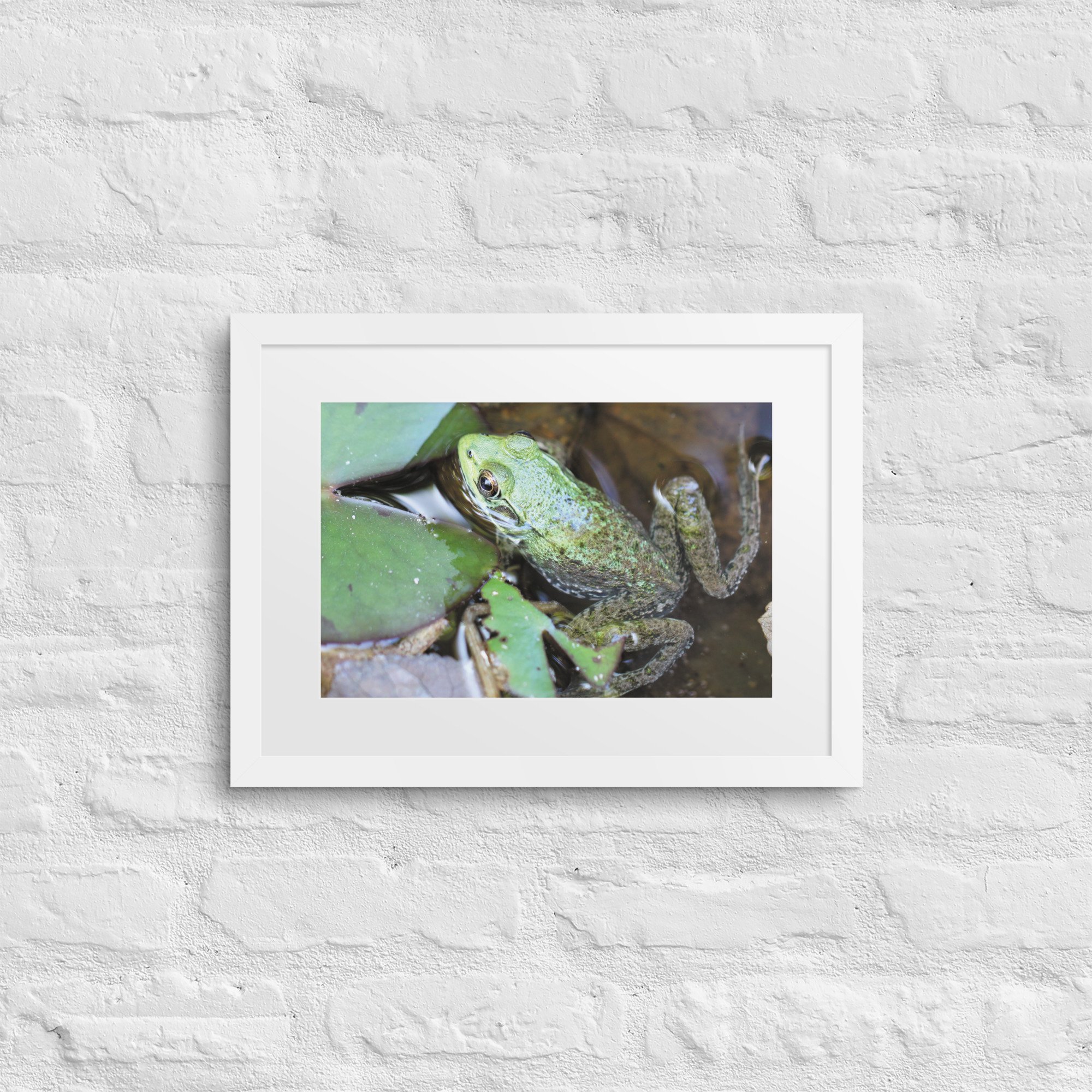 matte-paper-framed-poster-with-mat-(in)-white-12x16-front-67fb0e4fb8e6d.jpg