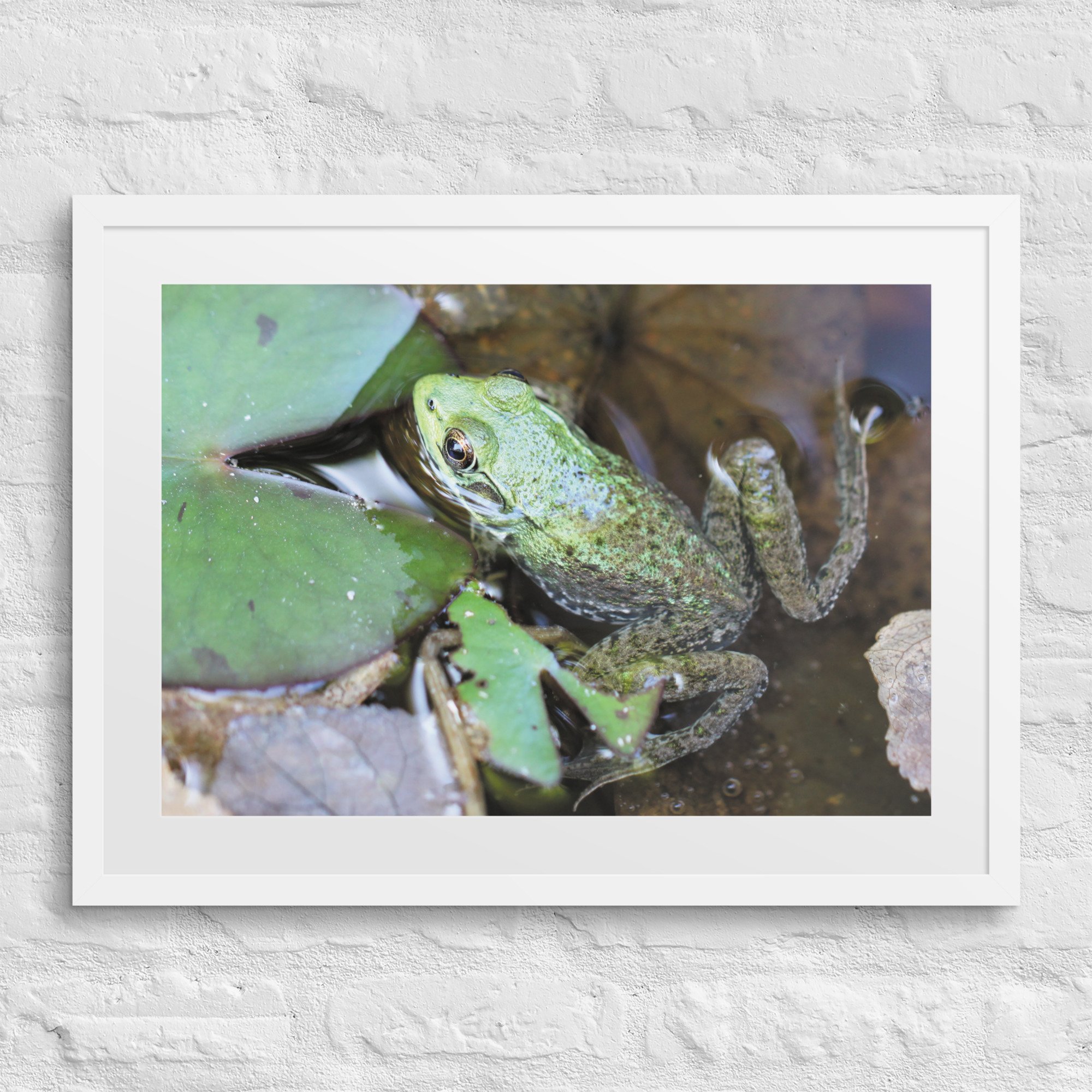 matte-paper-framed-poster-with-mat-(in)-white-18x24-front-67fb0e4fb8fc5.jpg