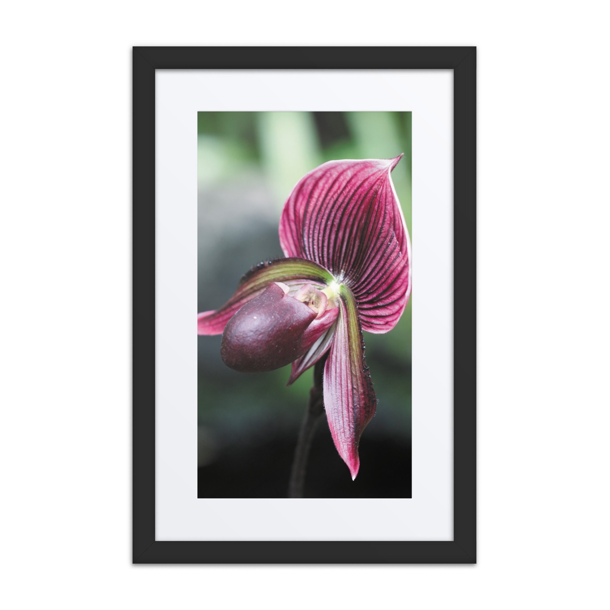 matte-paper-framed-poster-with-mat-(in)-black-12x18-front-67fc6e2cc4acc.jpg