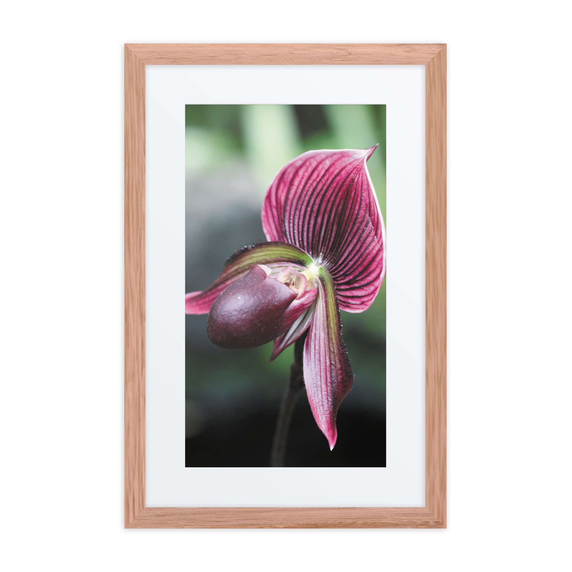 matte-paper-framed-poster-with-mat-(in)-red-oak-12x18-front-67fc6e2cc4bb4.jpg