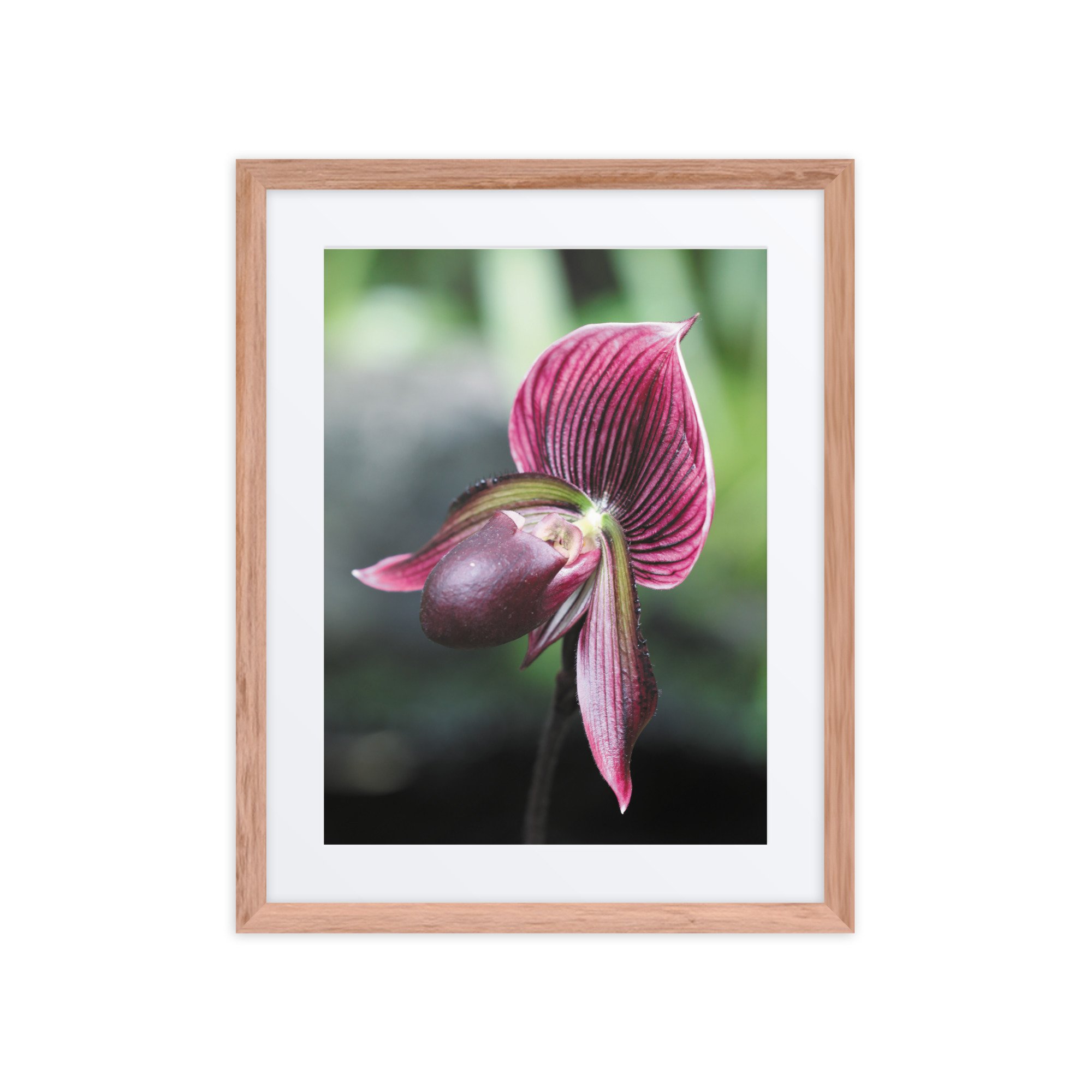 matte-paper-framed-poster-with-mat-(in)-red-oak-16x20-front-67fc6e2cc4bfb.jpg