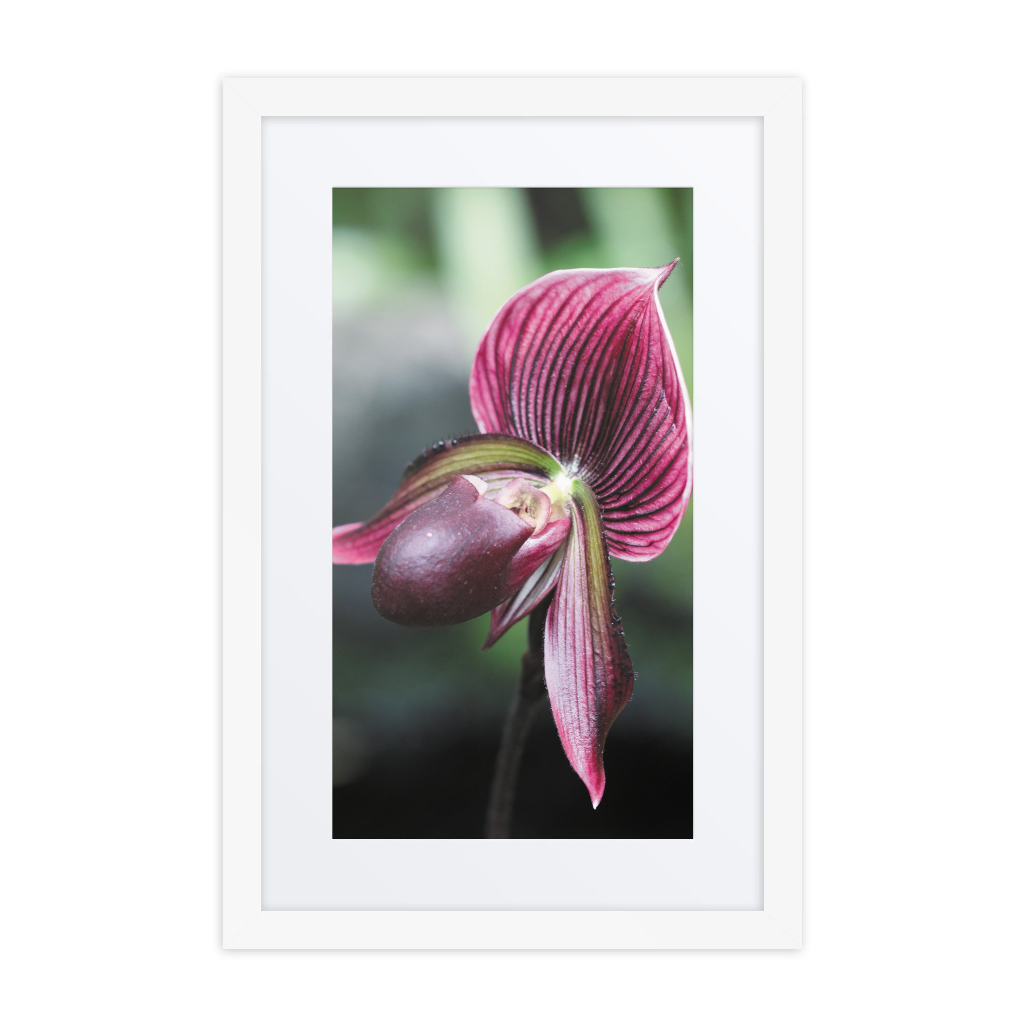matte-paper-framed-poster-with-mat-(in)-white-12x18-front-67fc6e2cc4ccc.jpg