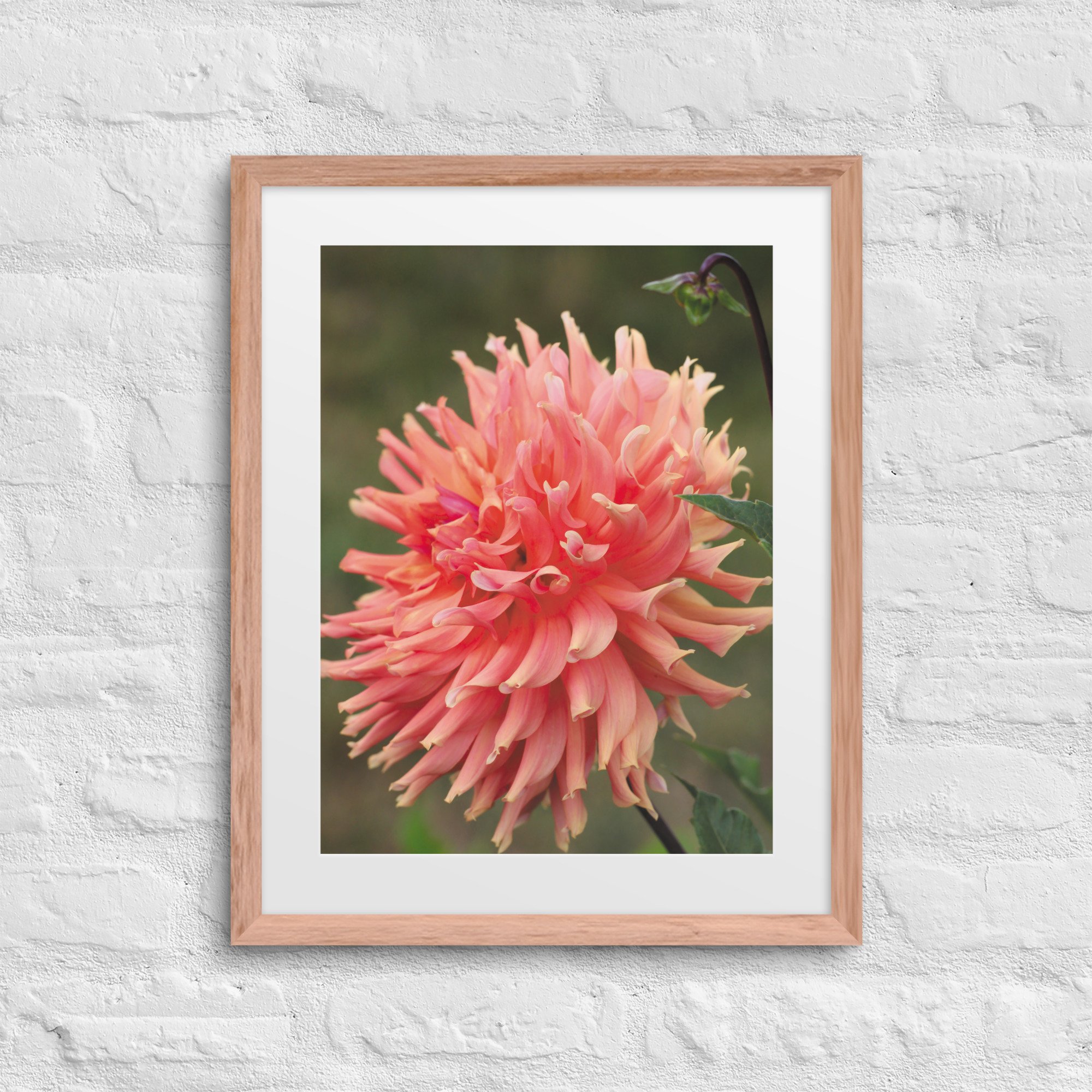 matte-paper-framed-poster-with-mat-(in)-red-oak-16x20-front-67fc7007746bb.jpg