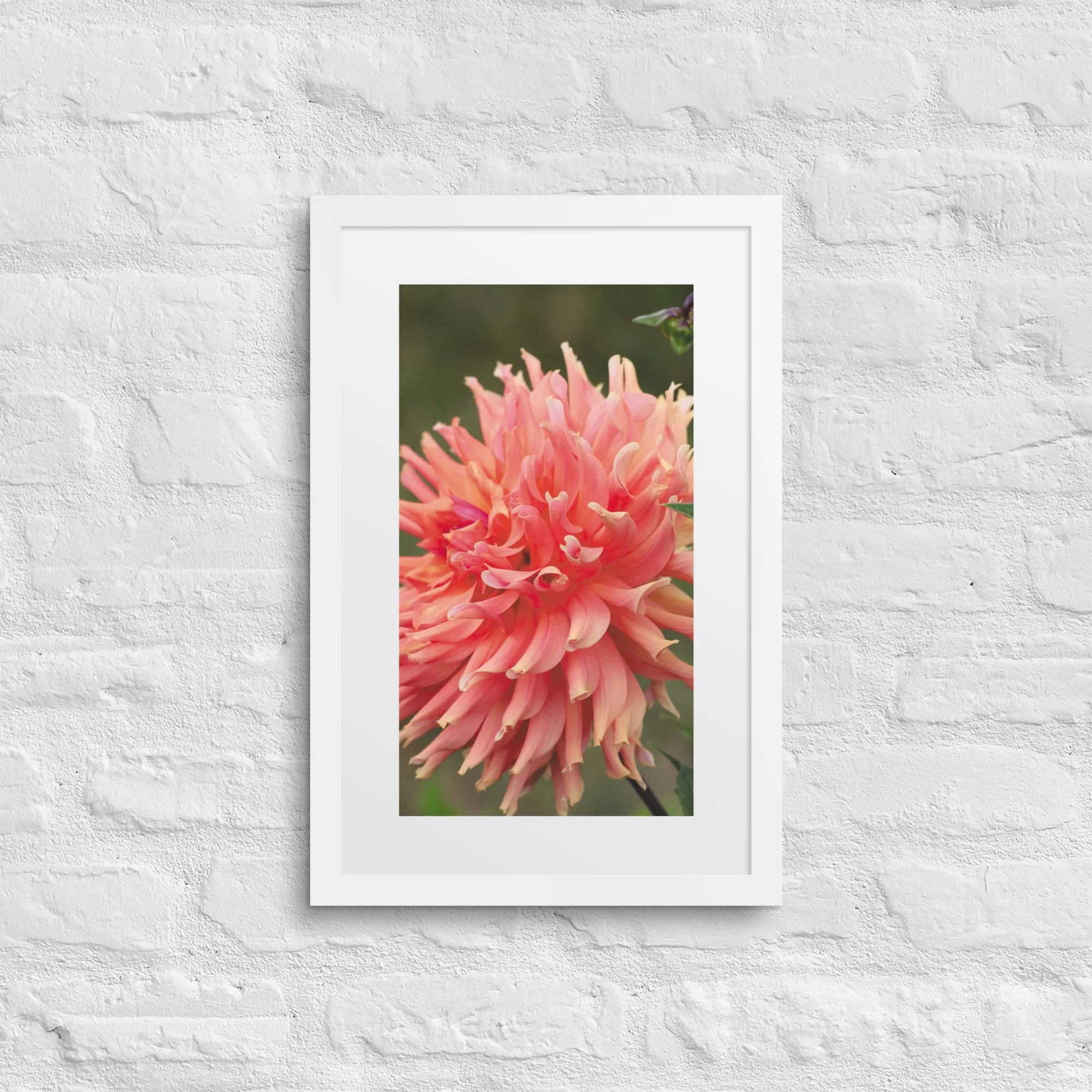matte-paper-framed-poster-with-mat-(in)-white-12x18-front-67fc70077478a.jpg