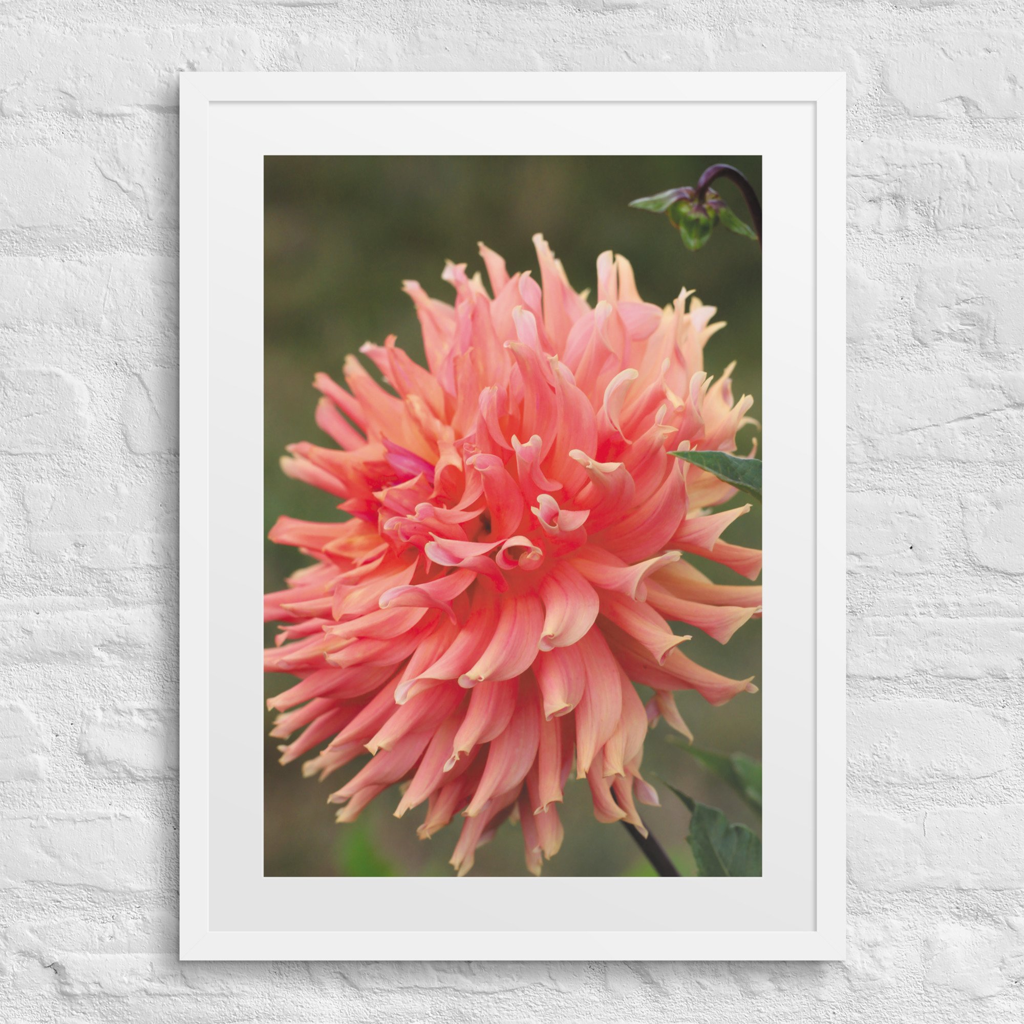 matte-paper-framed-poster-with-mat-(in)-white-18x24-front-67fc70077480a.jpg