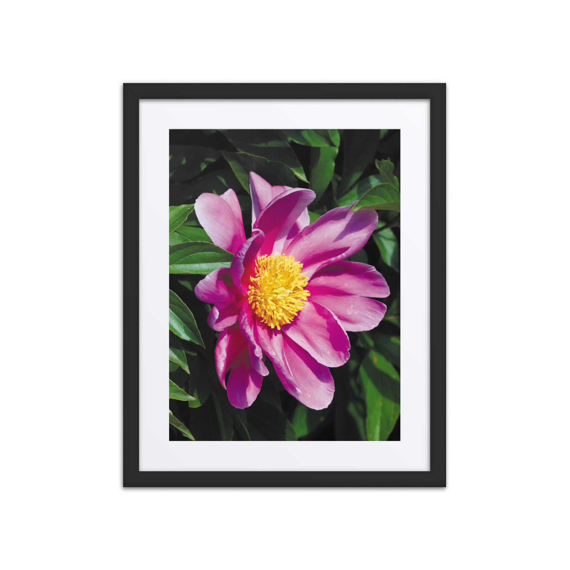 matte-paper-framed-poster-with-mat-(in)-black-16x20-front-67ff07c6732fc.jpg