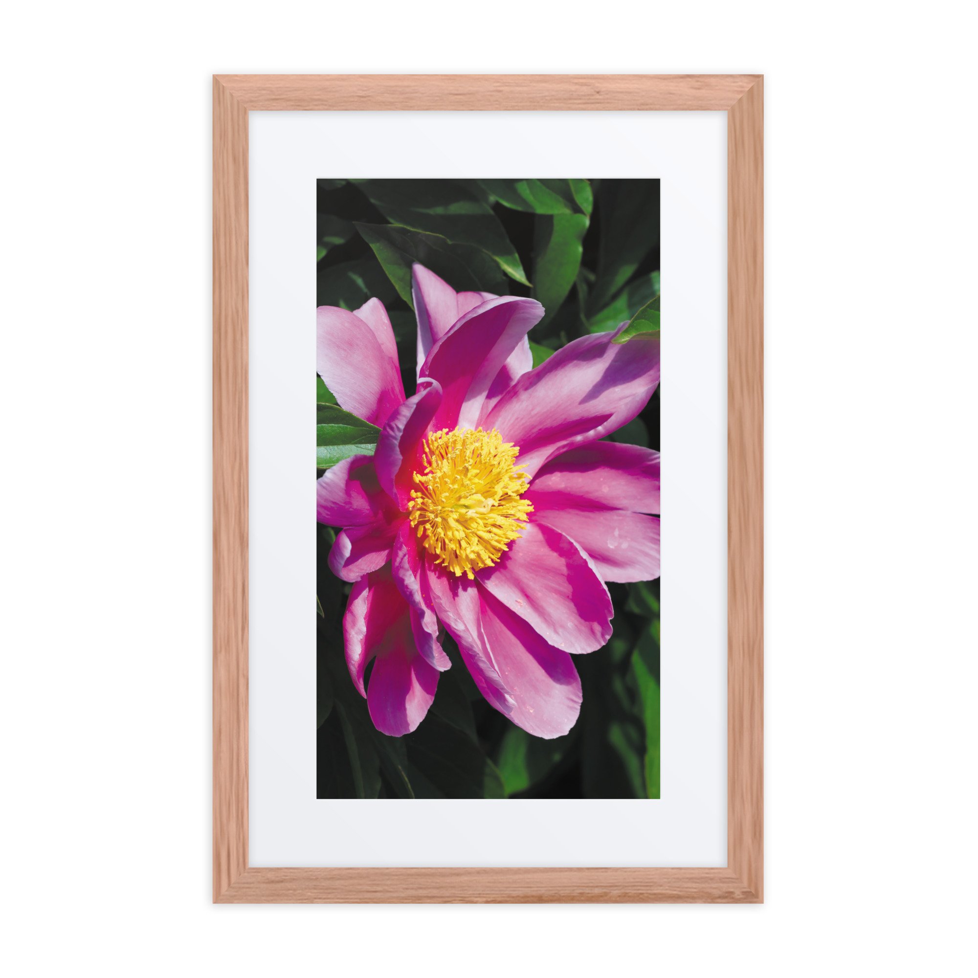 matte-paper-framed-poster-with-mat-(in)-red-oak-12x18-front-67ff07c673408.jpg