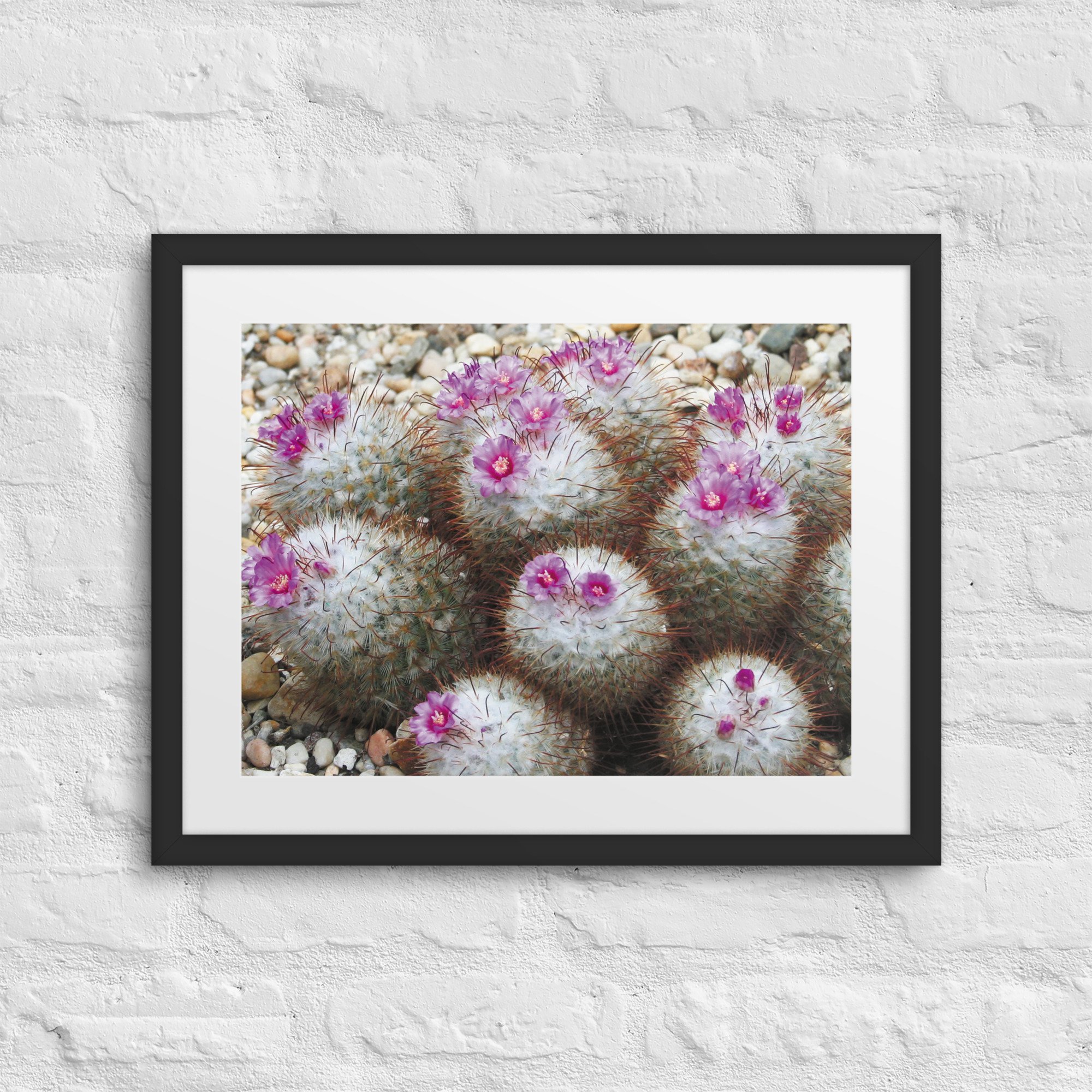 matte-paper-framed-poster-with-mat-(in)-black-16x20-front-67ffd6dee6986.jpg