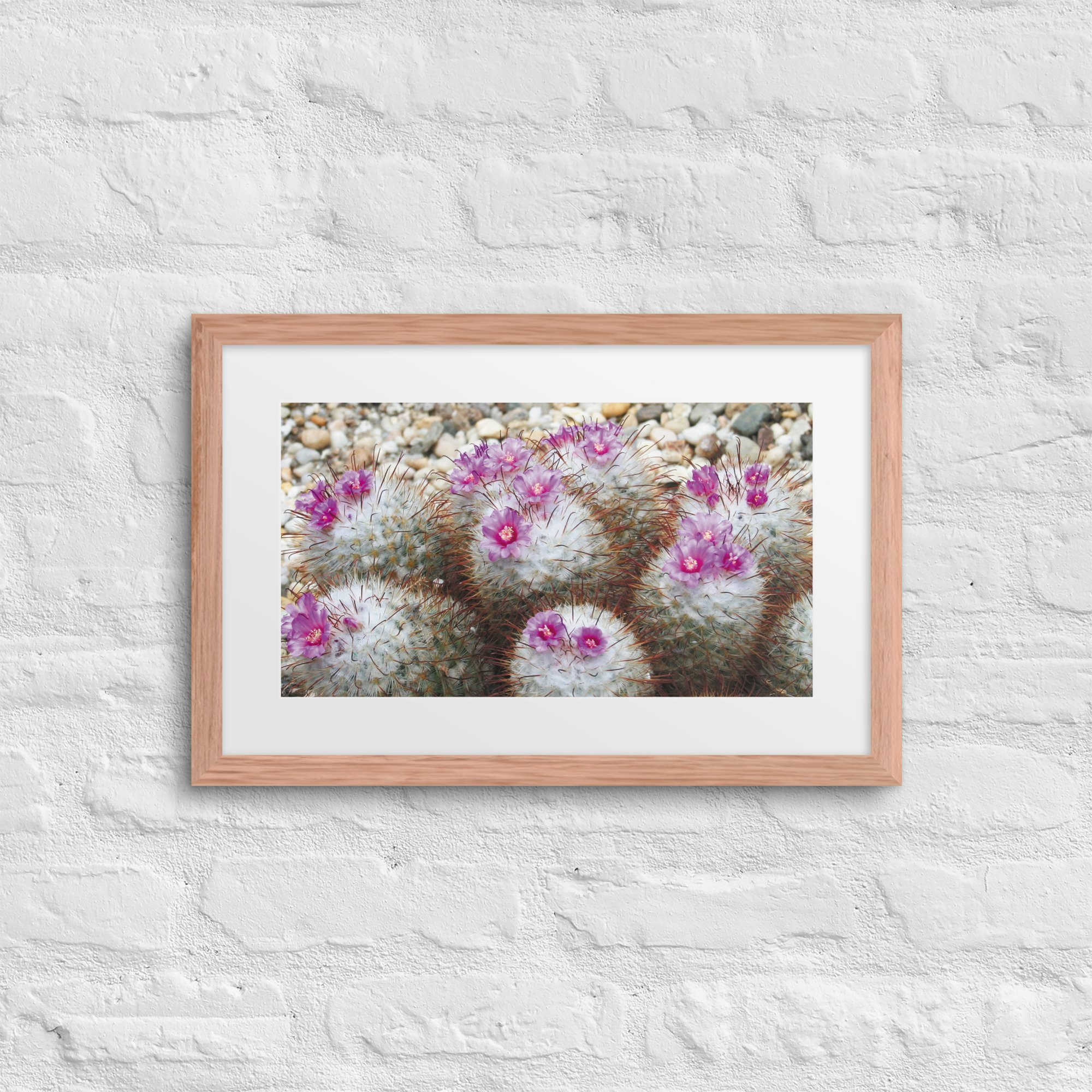 matte-paper-framed-poster-with-mat-(in)-red-oak-12x18-front-67ffd6dee6a3c.jpg