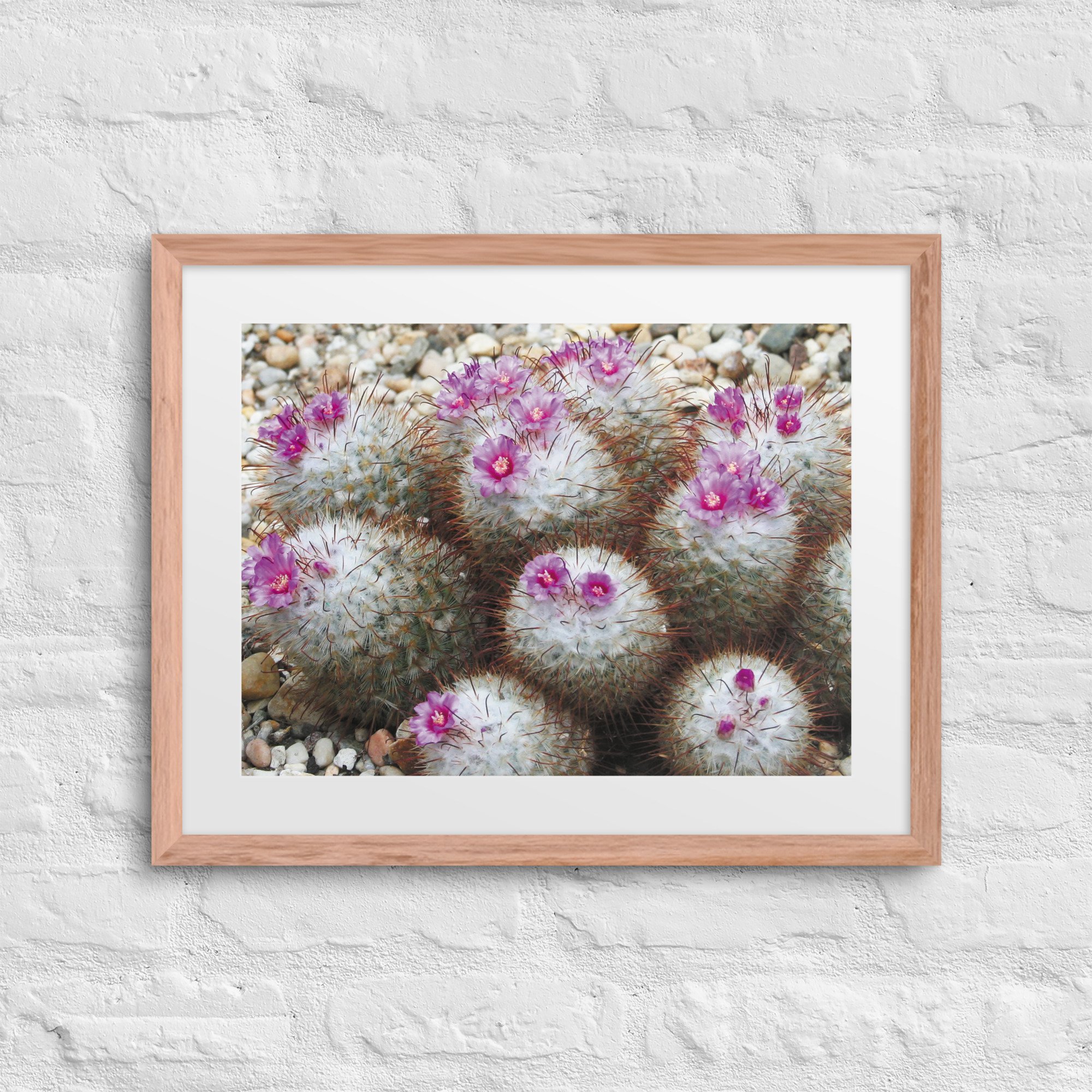 matte-paper-framed-poster-with-mat-(in)-red-oak-16x20-front-67ffd6dee6a9a.jpg