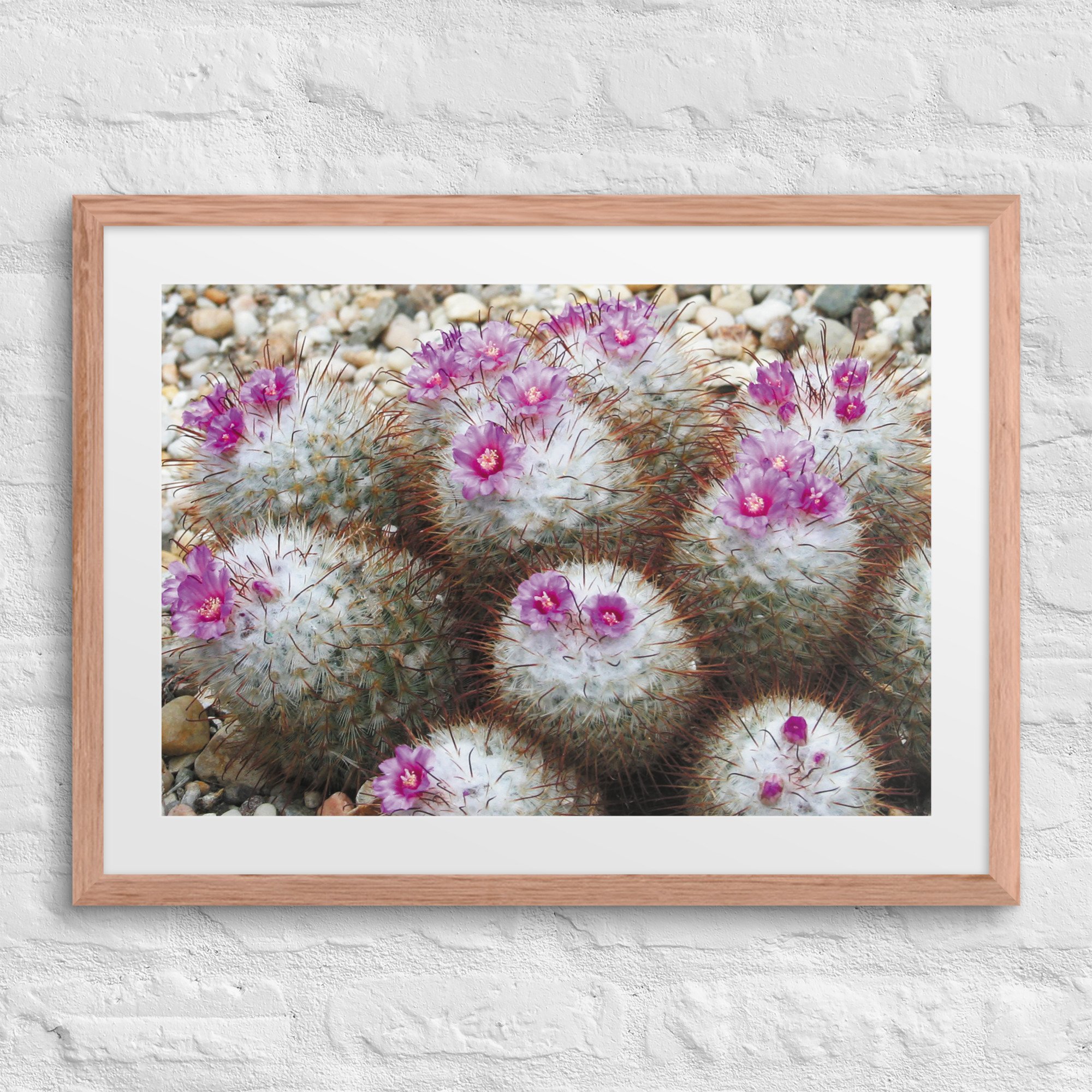 matte-paper-framed-poster-with-mat-(in)-red-oak-18x24-front-67ffd6dee6ae5.jpg