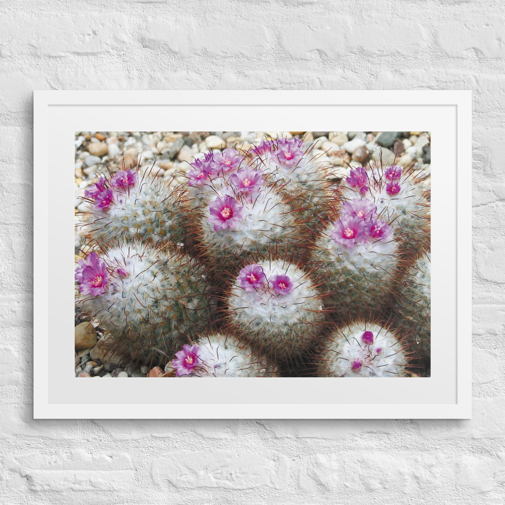 matte-paper-framed-poster-with-mat-(in)-white-18x24-front-67ffd6dee6bb8.jpg