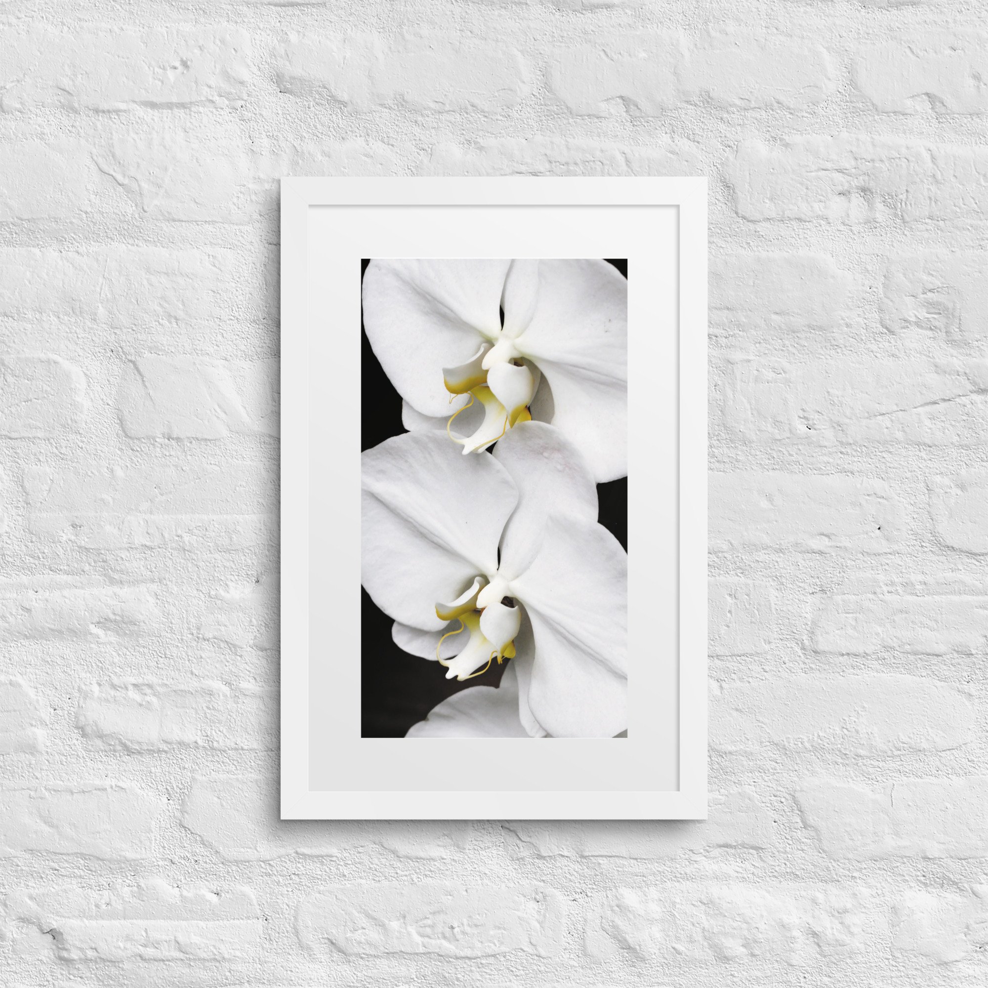 matte-paper-framed-poster-with-mat-(in)-white-12x18-front-67ffd7027240d.jpg
