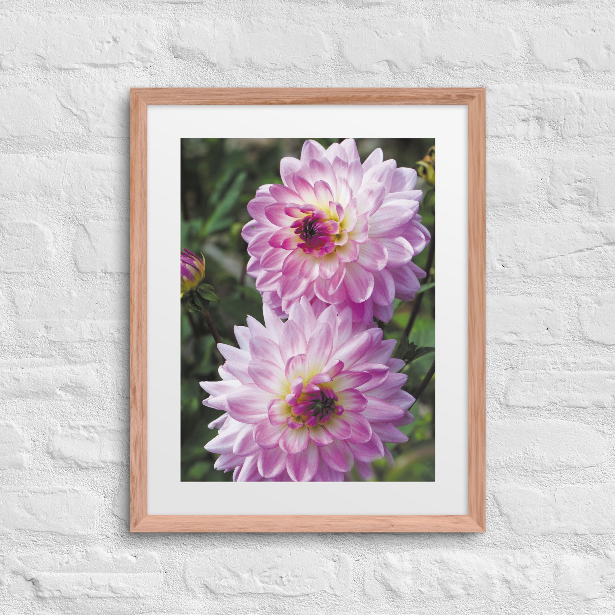 matte-paper-framed-poster-with-mat-(in)-red-oak-16x20-front-67ffe40449a0b.jpg