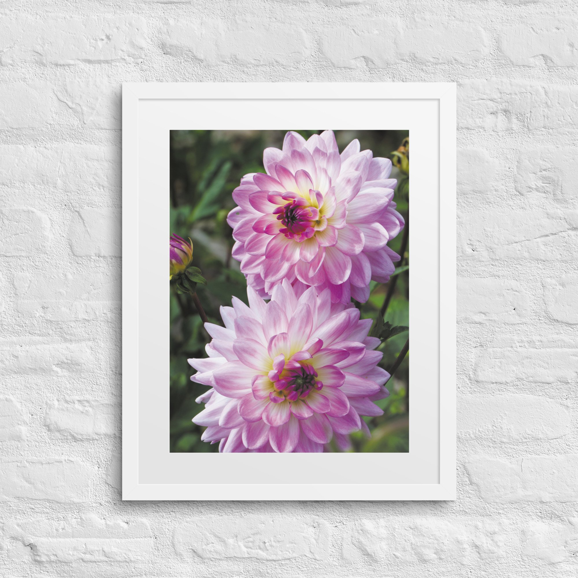 matte-paper-framed-poster-with-mat-(in)-white-16x20-front-67ffe40449b45.jpg