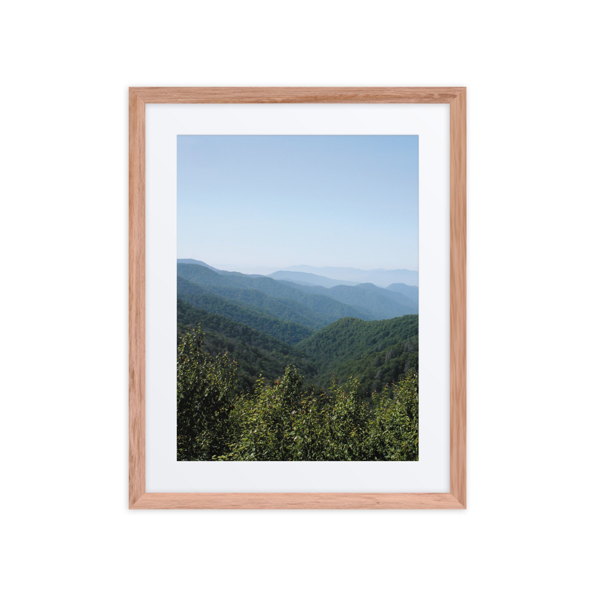 matte-paper-framed-poster-with-mat-(in)-red-oak-16x20-front-67ffe52d953f0.jpg