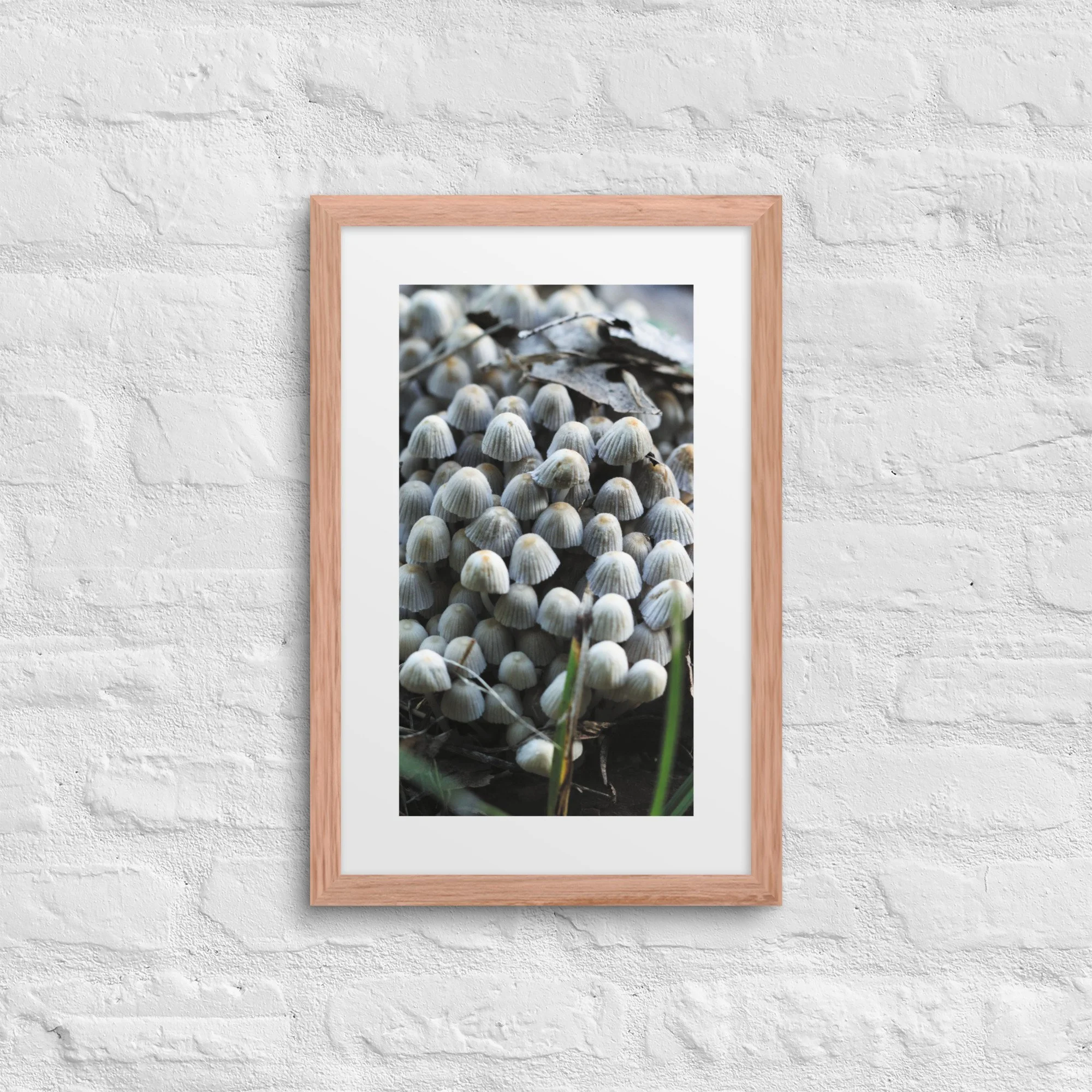 matte-paper-framed-poster-with-mat-(in)-red-oak-12x18-front-67ffe652128cd.jpg