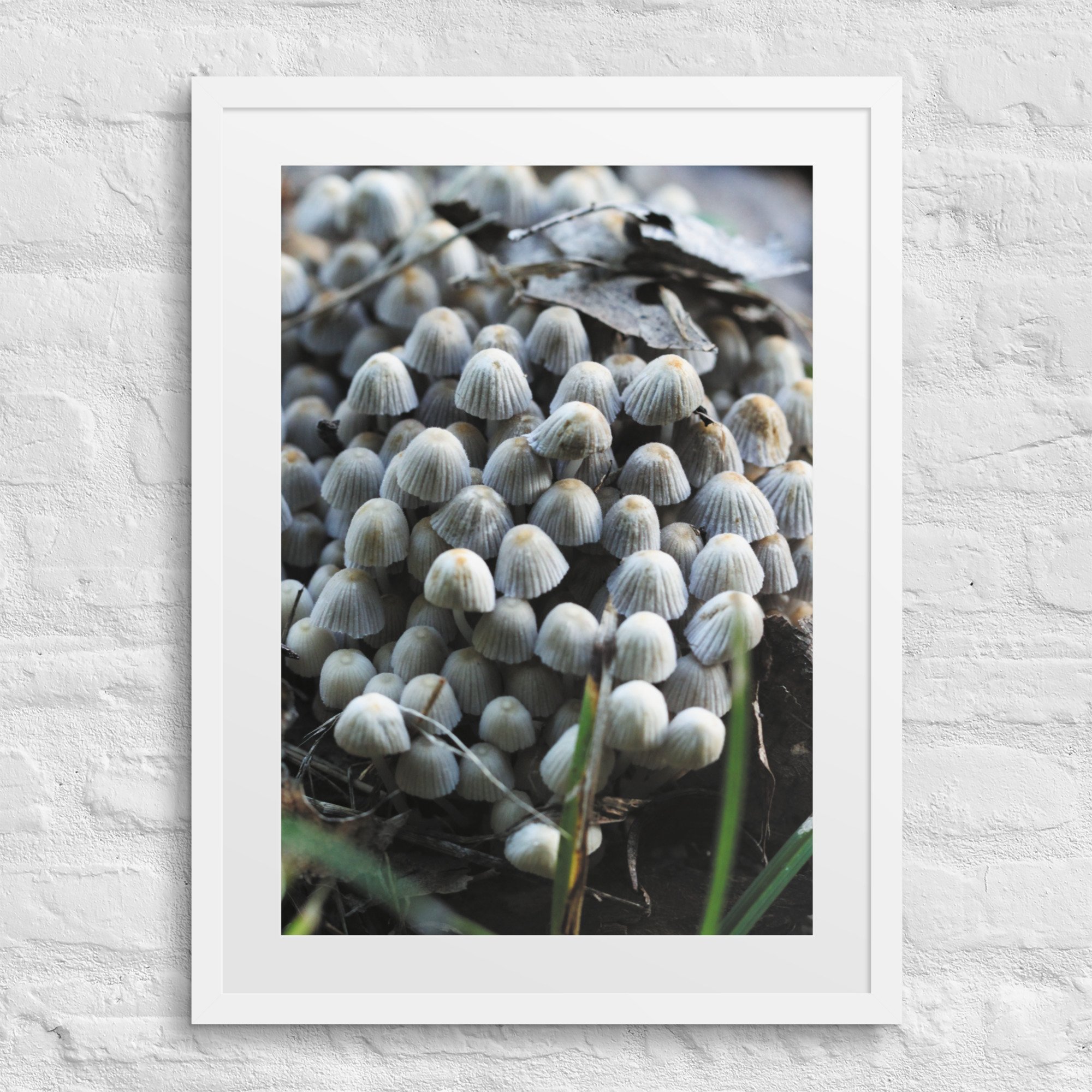 matte-paper-framed-poster-with-mat-(in)-white-18x24-front-67ffe65212a7b.jpg