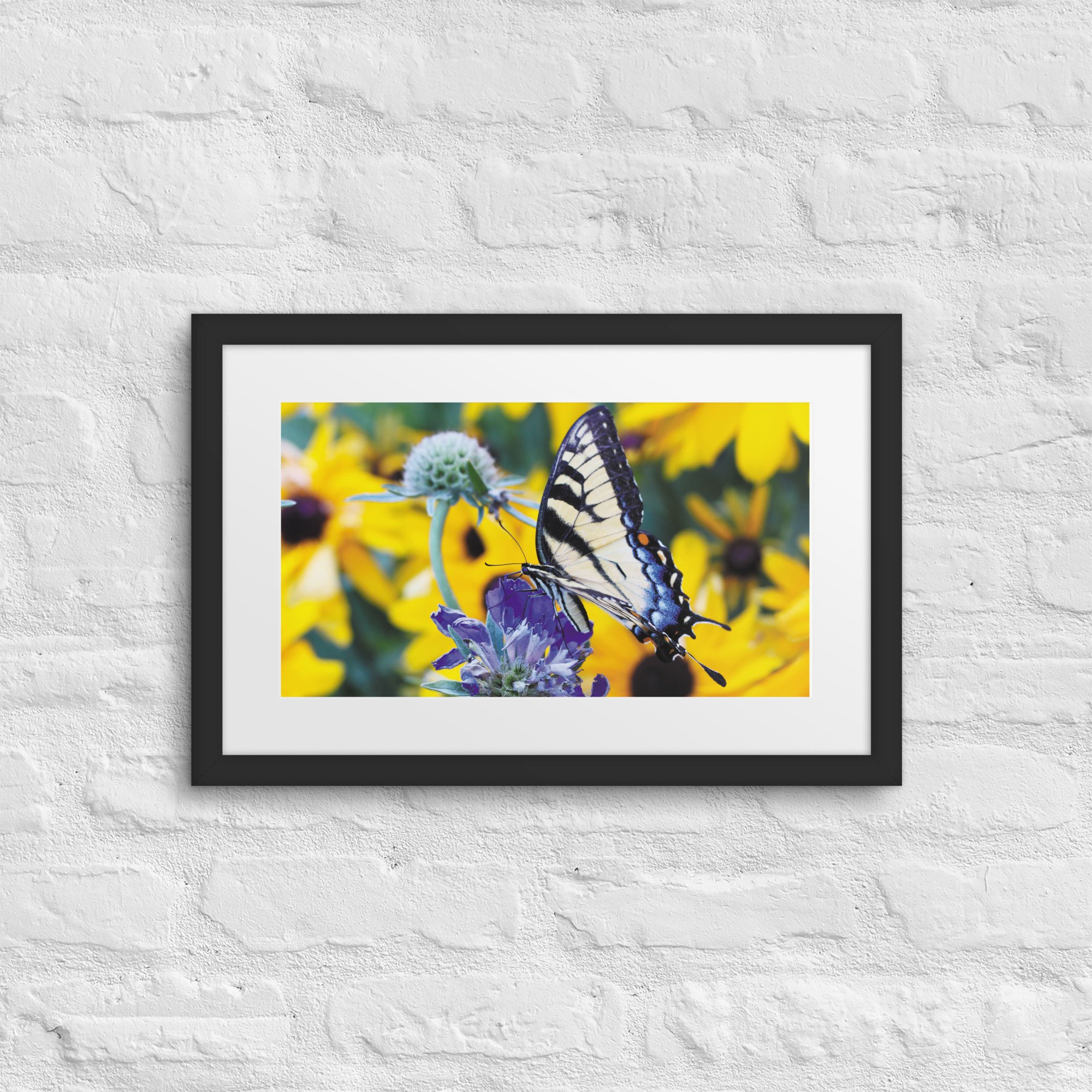 matte-paper-framed-poster-with-mat-(in)-black-12x18-front-67fff1b8bf087.jpg