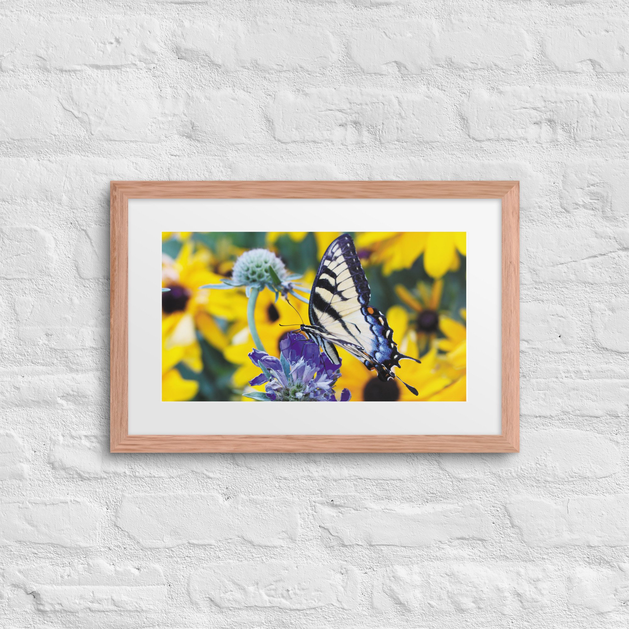 matte-paper-framed-poster-with-mat-(in)-red-oak-12x18-front-67fff1b8bf1ce.jpg