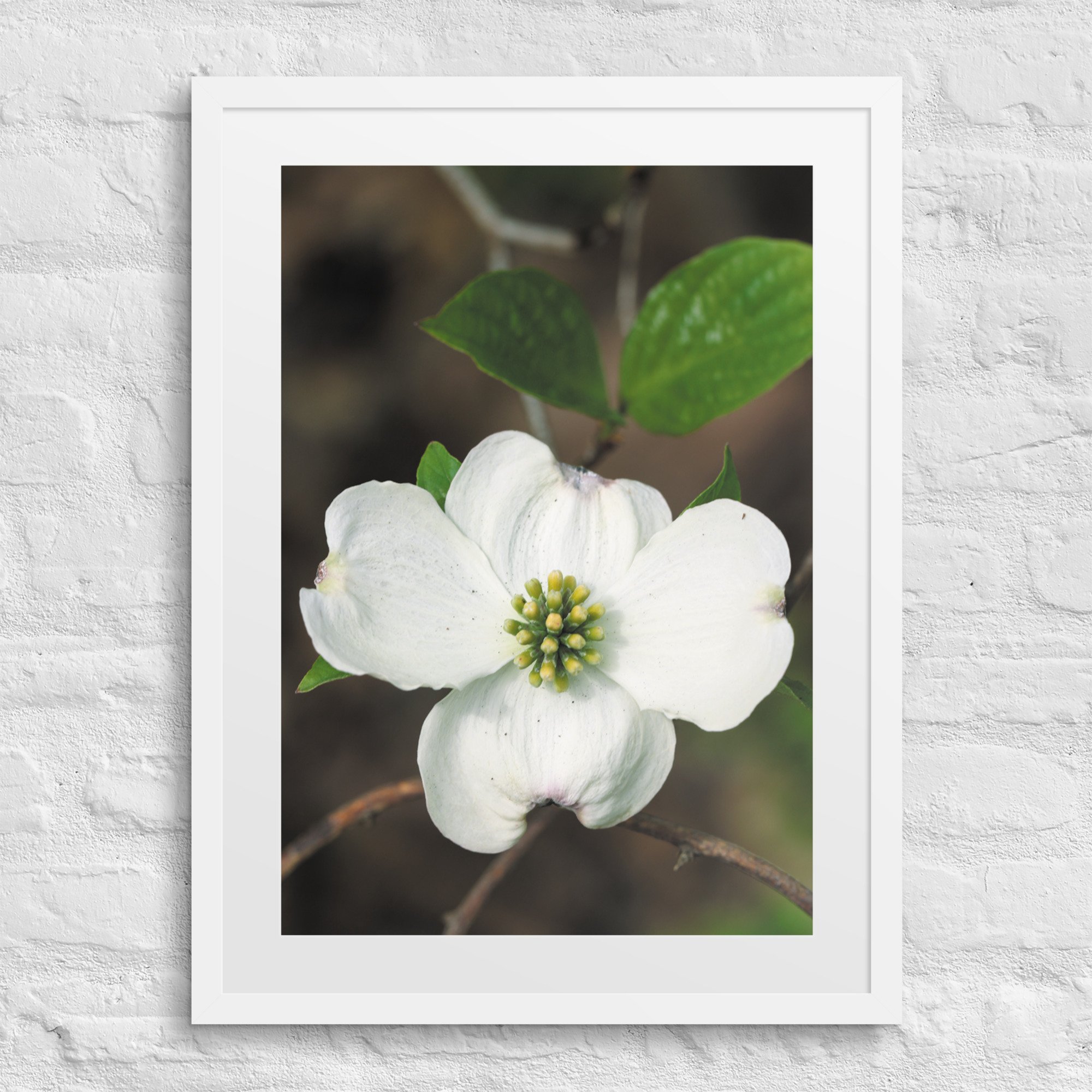 matte-paper-framed-poster-with-mat-(in)-white-18x24-front-67fff222337e8.jpg
