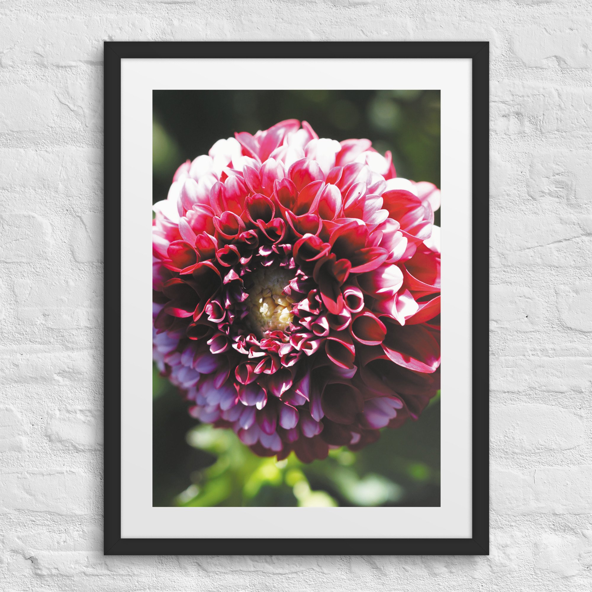 matte-paper-framed-poster-with-mat-(in)-black-18x24-front-67fff2d25fbf8.jpg