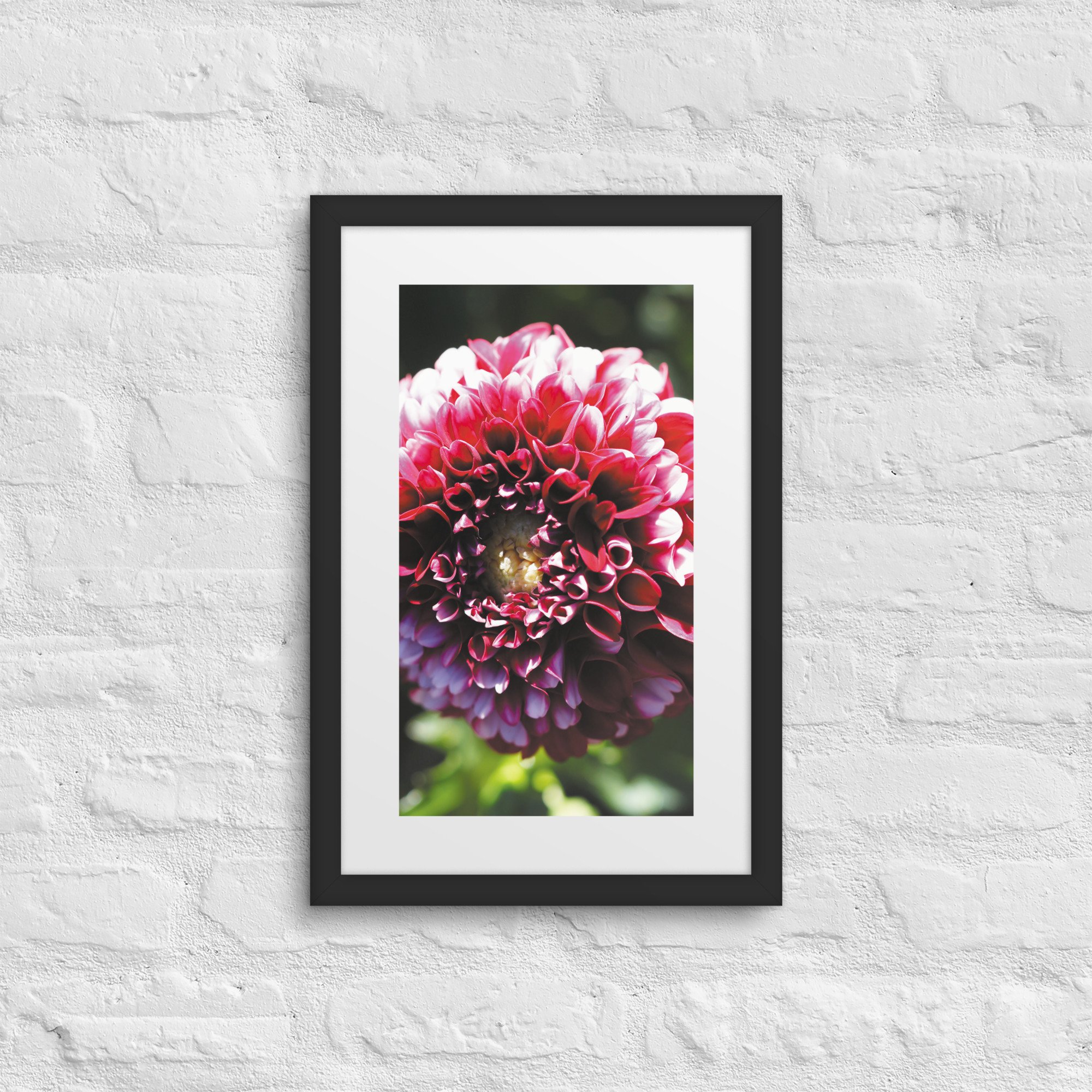 matte-paper-framed-poster-with-mat-(in)-black-12x18-front-67fff2d2600e7.jpg