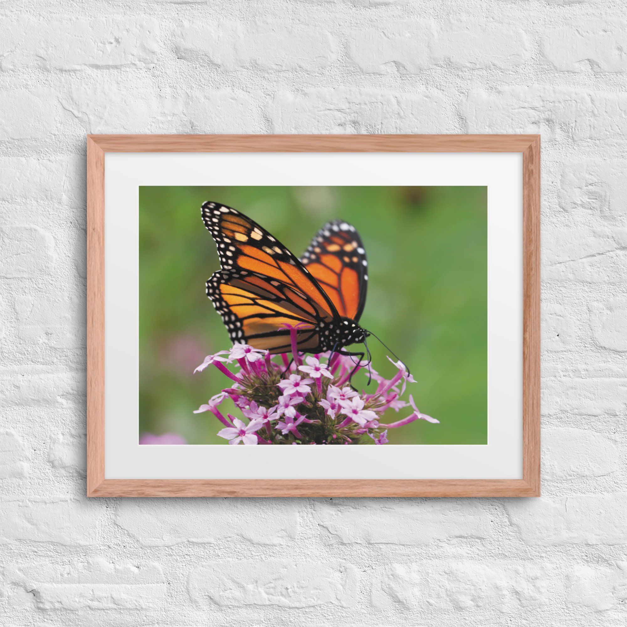 matte-paper-framed-poster-with-mat-(in)-red-oak-16x20-front-67fff53d2d1f2.jpg