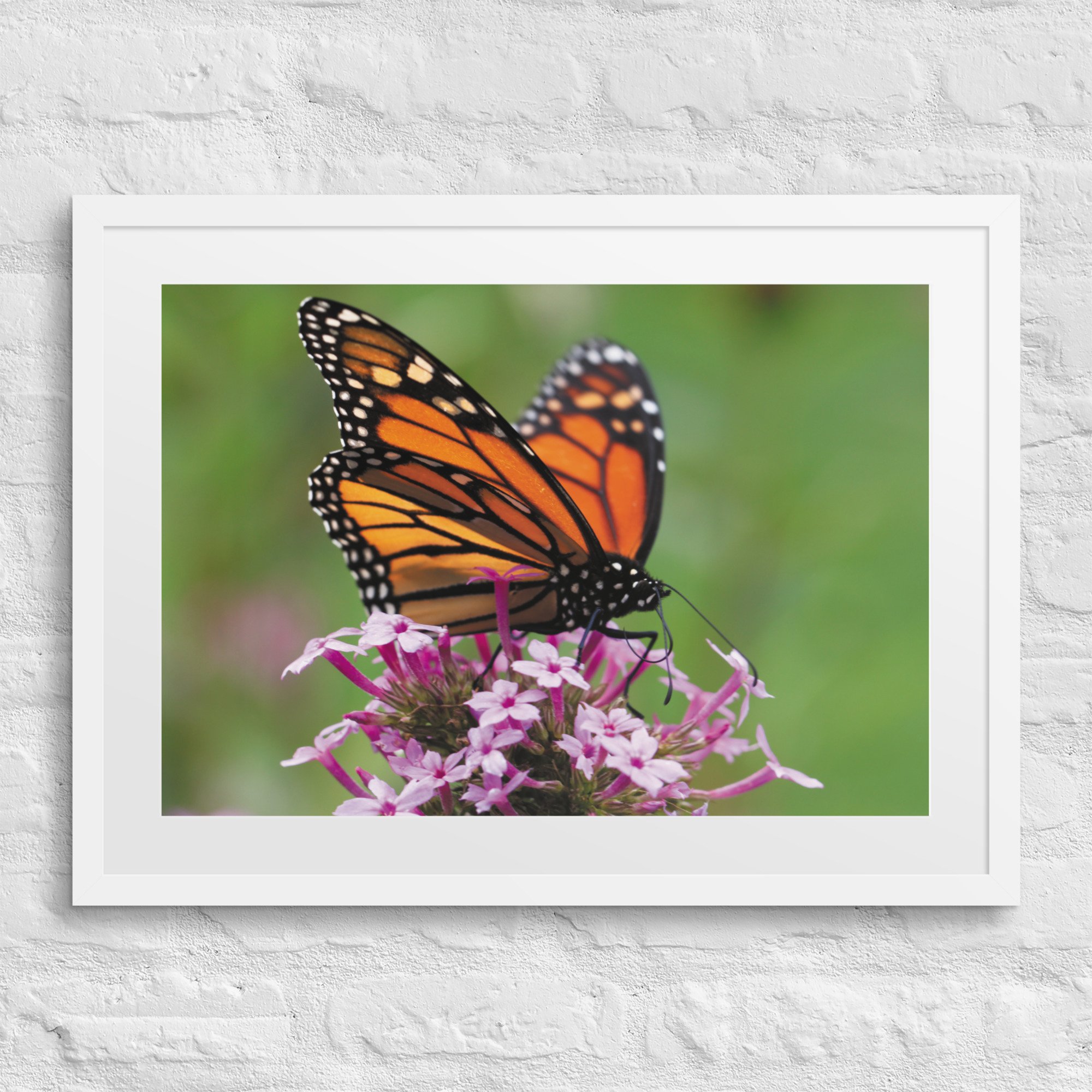 matte-paper-framed-poster-with-mat-(in)-white-18x24-front-67fff53d2d33d.jpg
