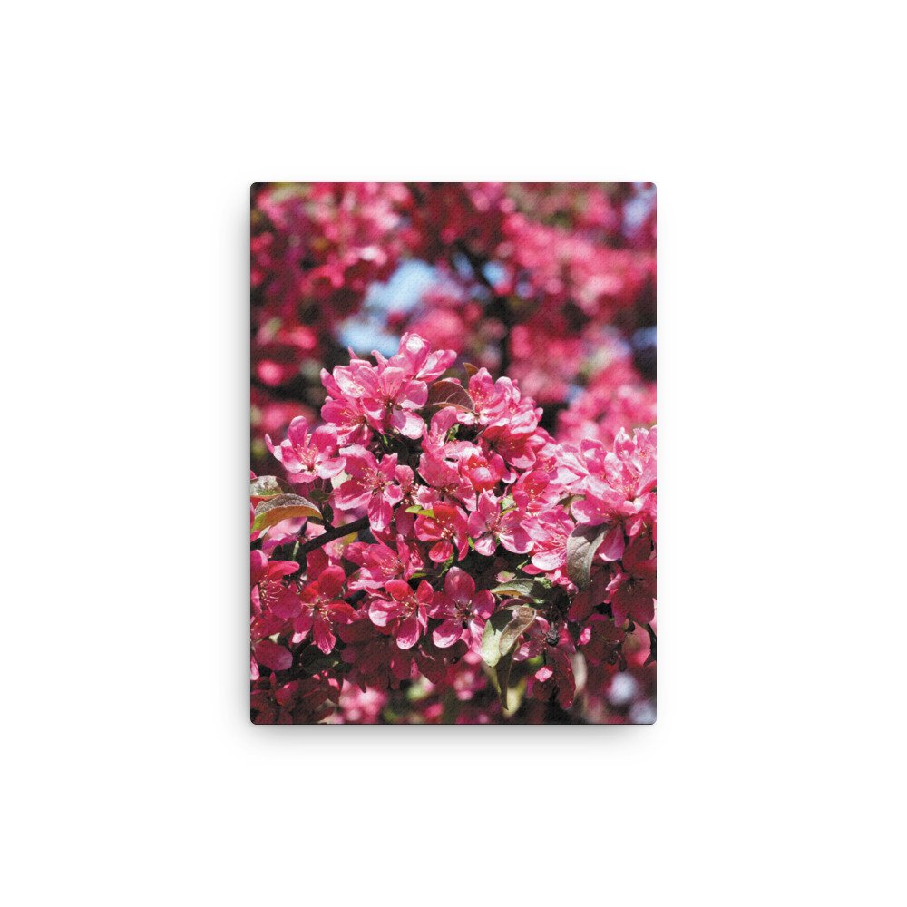 thin-canvas-(in)-12x16-front-681797bedab49.jpg