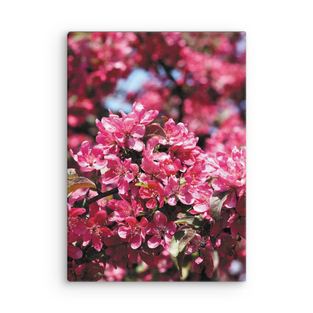 thin-canvas-(in)-20x28-front-681797bedaded.jpg
