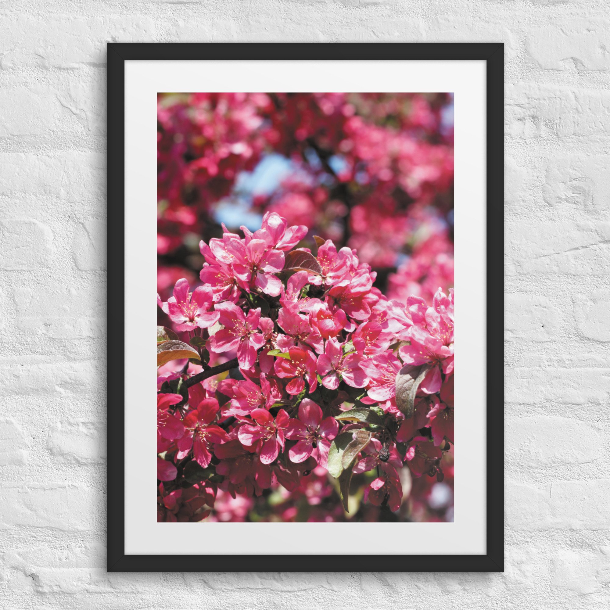 matte-paper-framed-poster-with-mat-(in)-black-18x24-front-68179fe736019.jpg