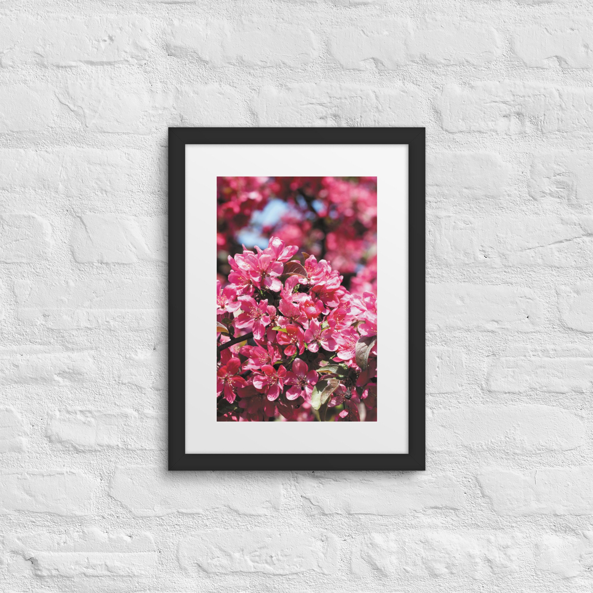 matte-paper-framed-poster-with-mat-(in)-black-12x16-front-68179fe736c33.jpg