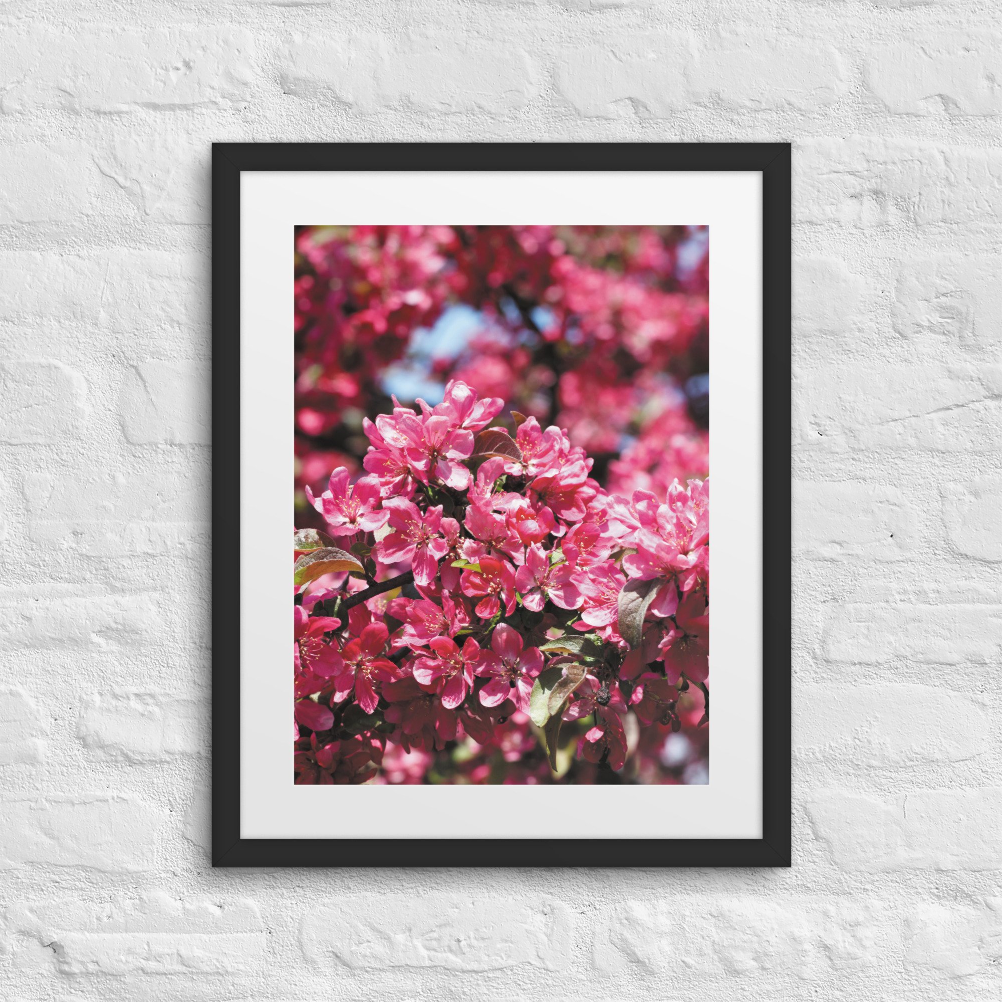 matte-paper-framed-poster-with-mat-(in)-black-16x20-front-68179fe736d63.jpg
