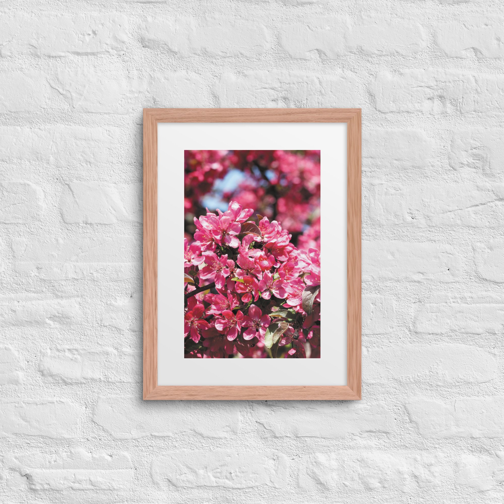 matte-paper-framed-poster-with-mat-(in)-red-oak-12x16-front-68179fe736dee.jpg