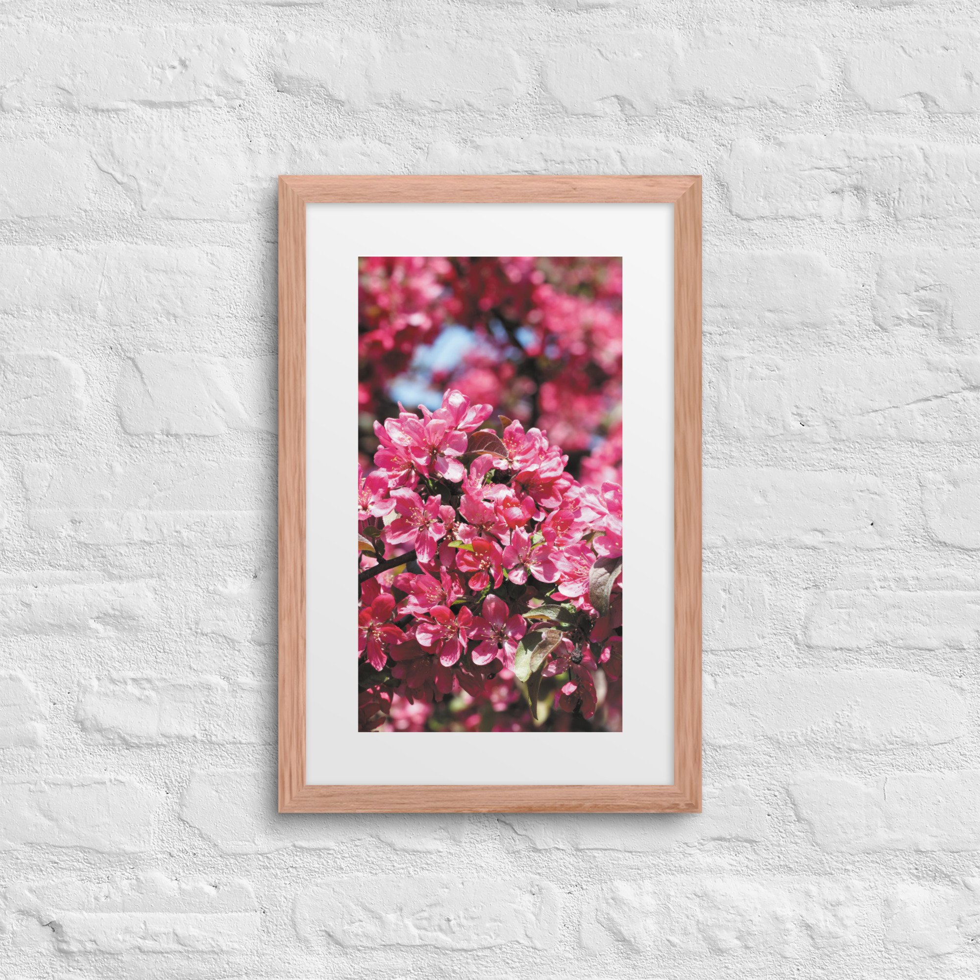matte-paper-framed-poster-with-mat-(in)-red-oak-12x18-front-68179fe736e6f.jpg
