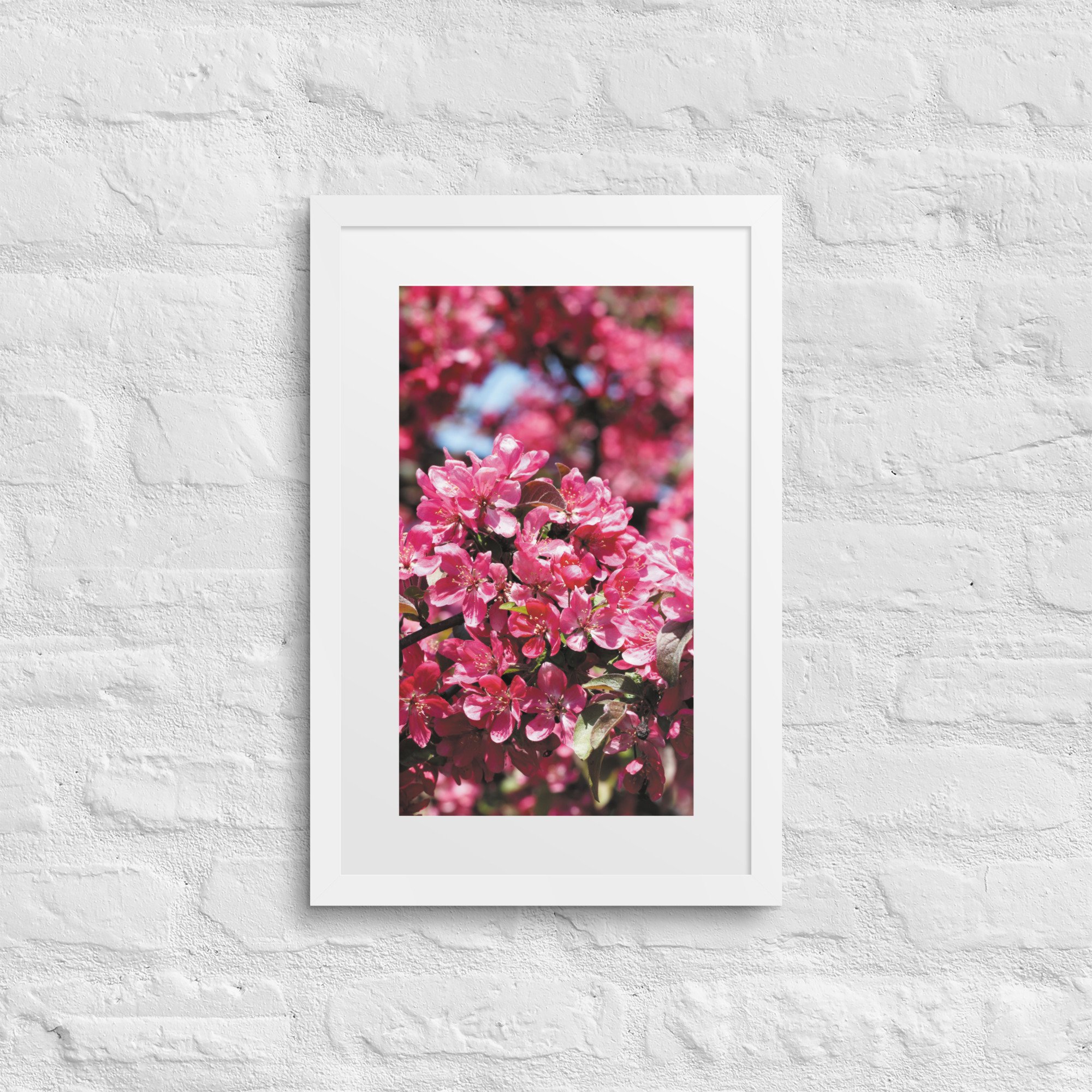 matte-paper-framed-poster-with-mat-(in)-white-12x18-front-68179fe737072.jpg