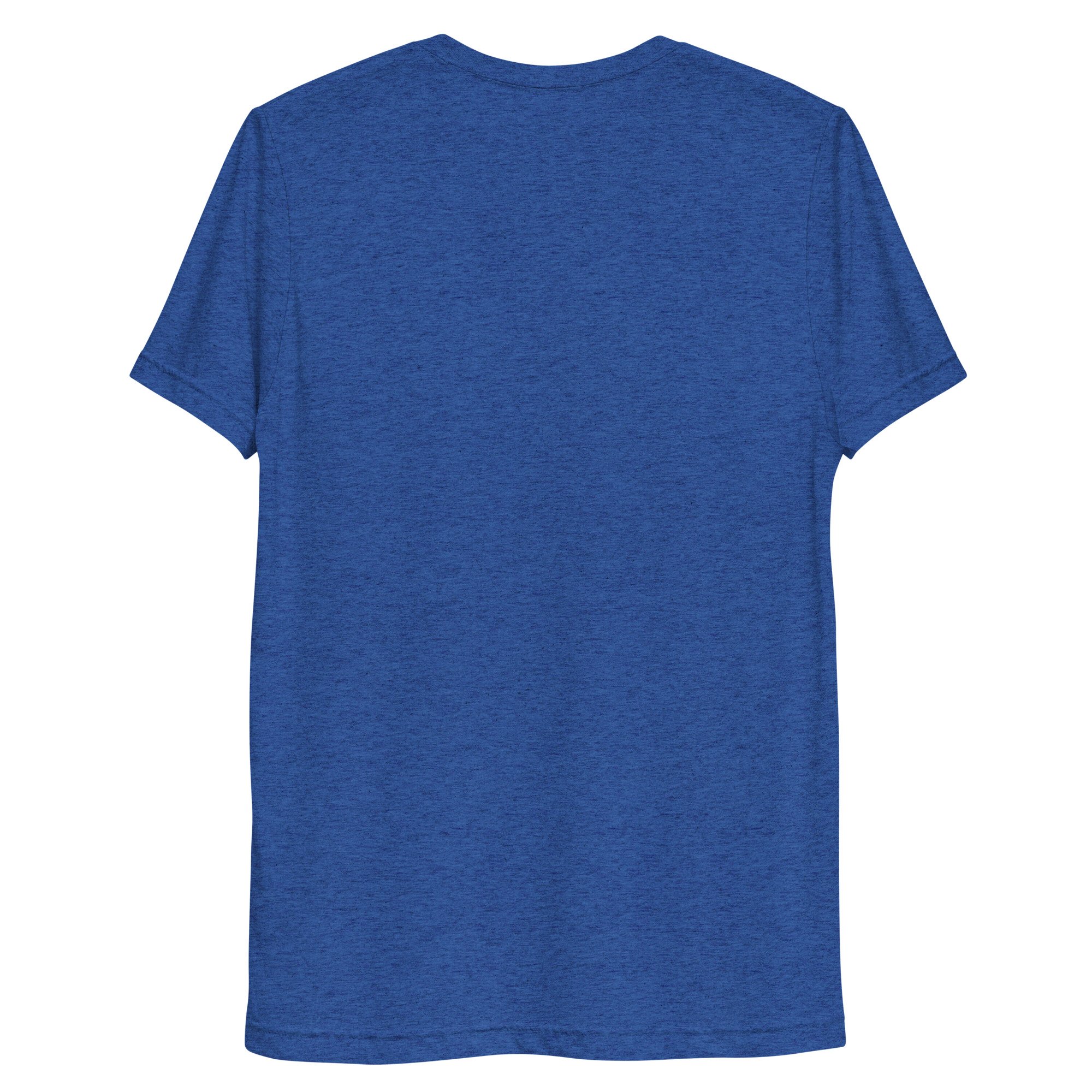 unisex-tri-blend-t-shirt-true-royal-triblend-back-68793afc463a8.jpg
