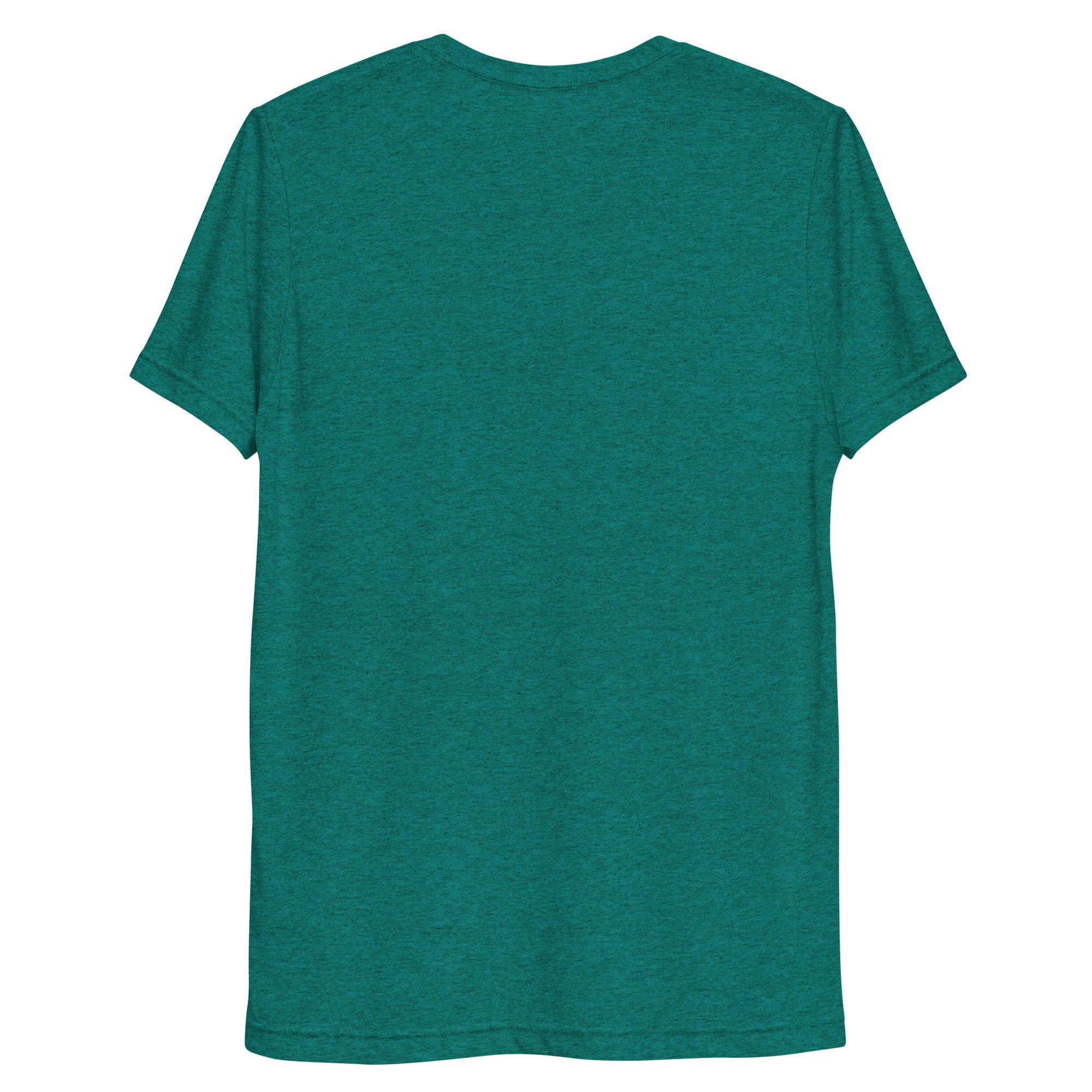 unisex-tri-blend-t-shirt-teal-triblend-back-68793afc51aa8.jpg