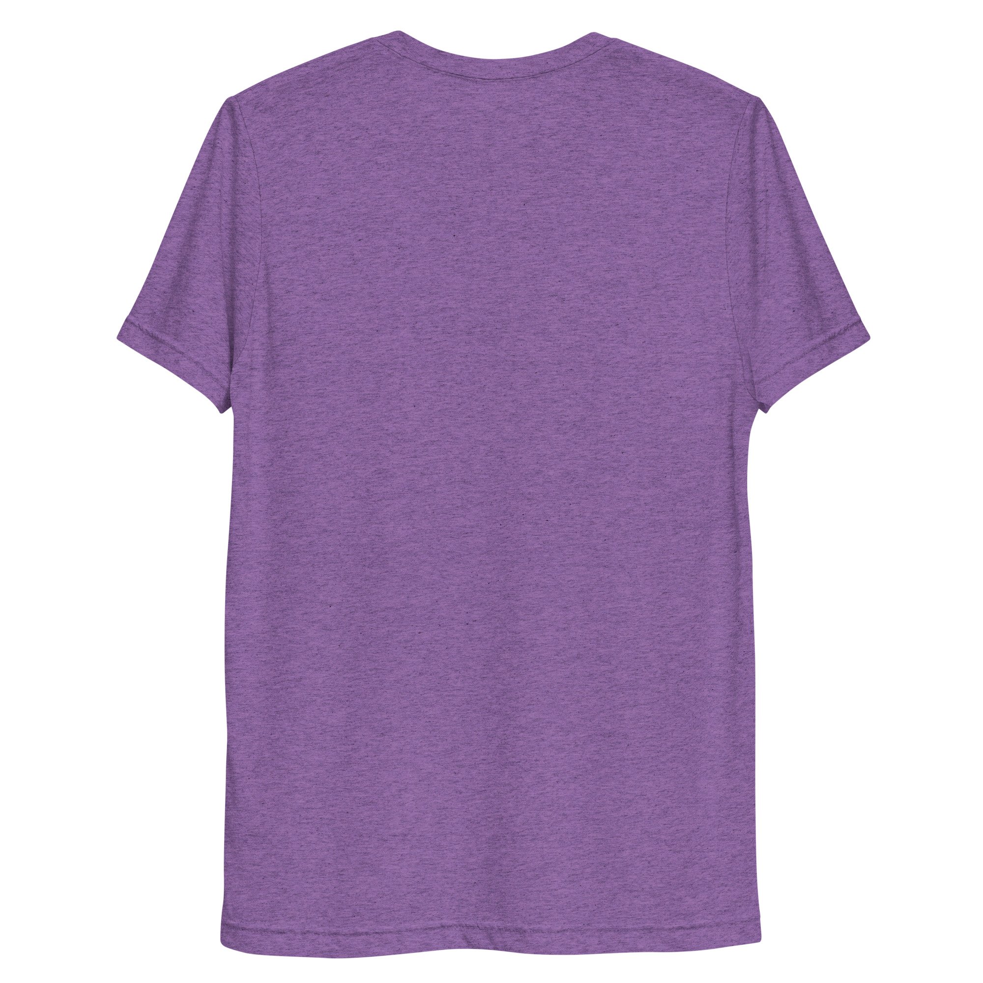 unisex-tri-blend-t-shirt-purple-triblend-back-68793afc5a0bb.jpg
