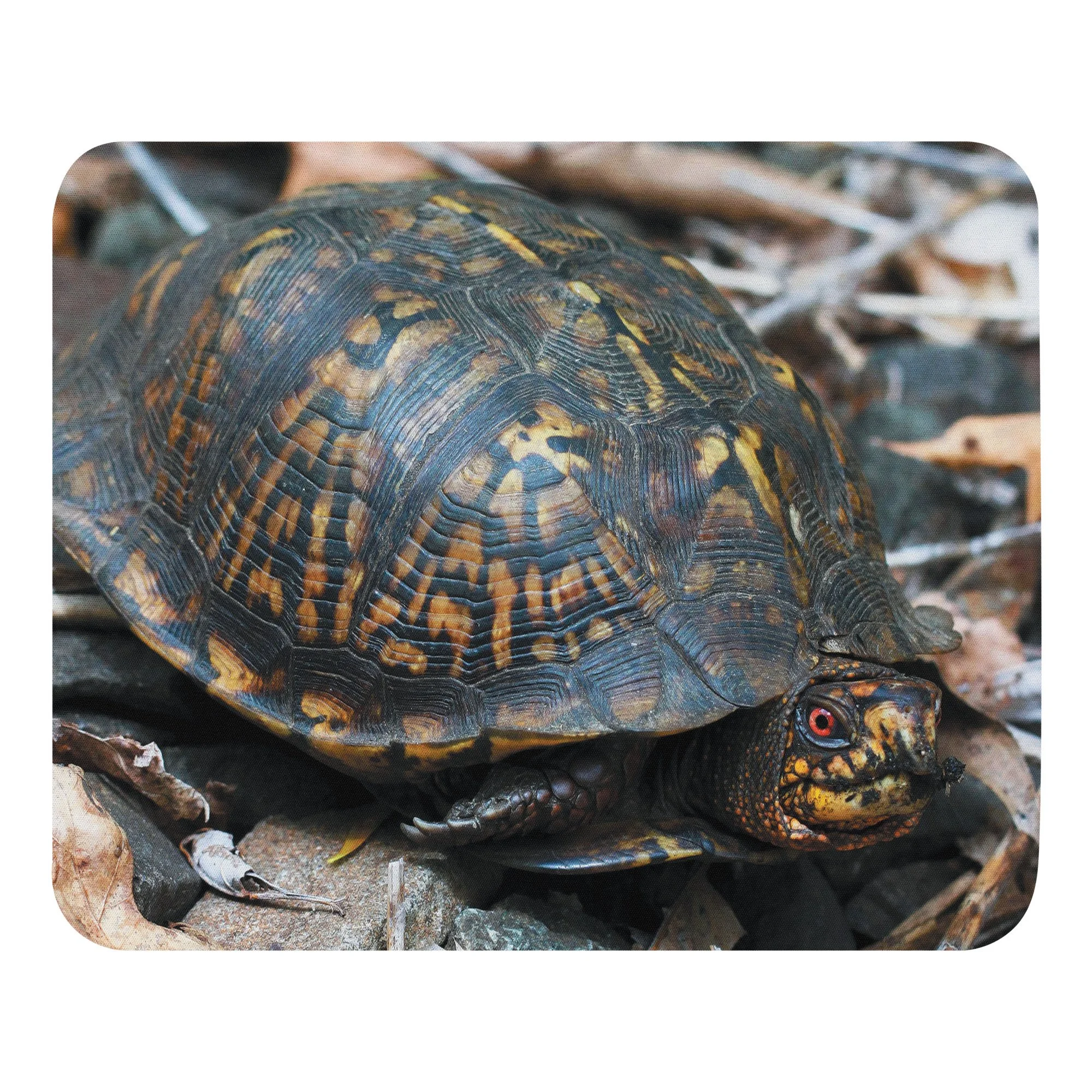 "Humble Box Turtle" Mouse Pad