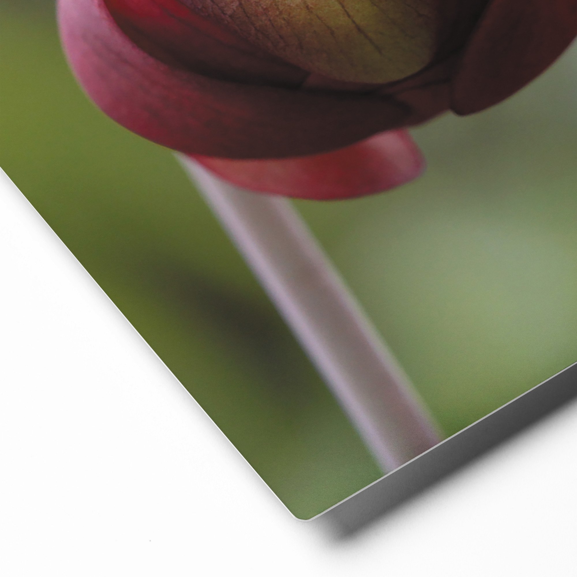 glossy-metal-print-(in)-white-8x10-product-details-671aca0d16bd2.jpg