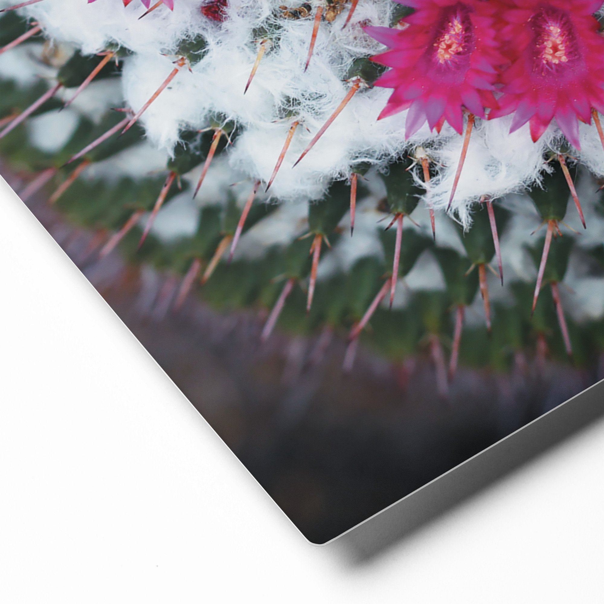glossy-metal-print-(in)-white-16x20-product-details-671abce86176b.jpg