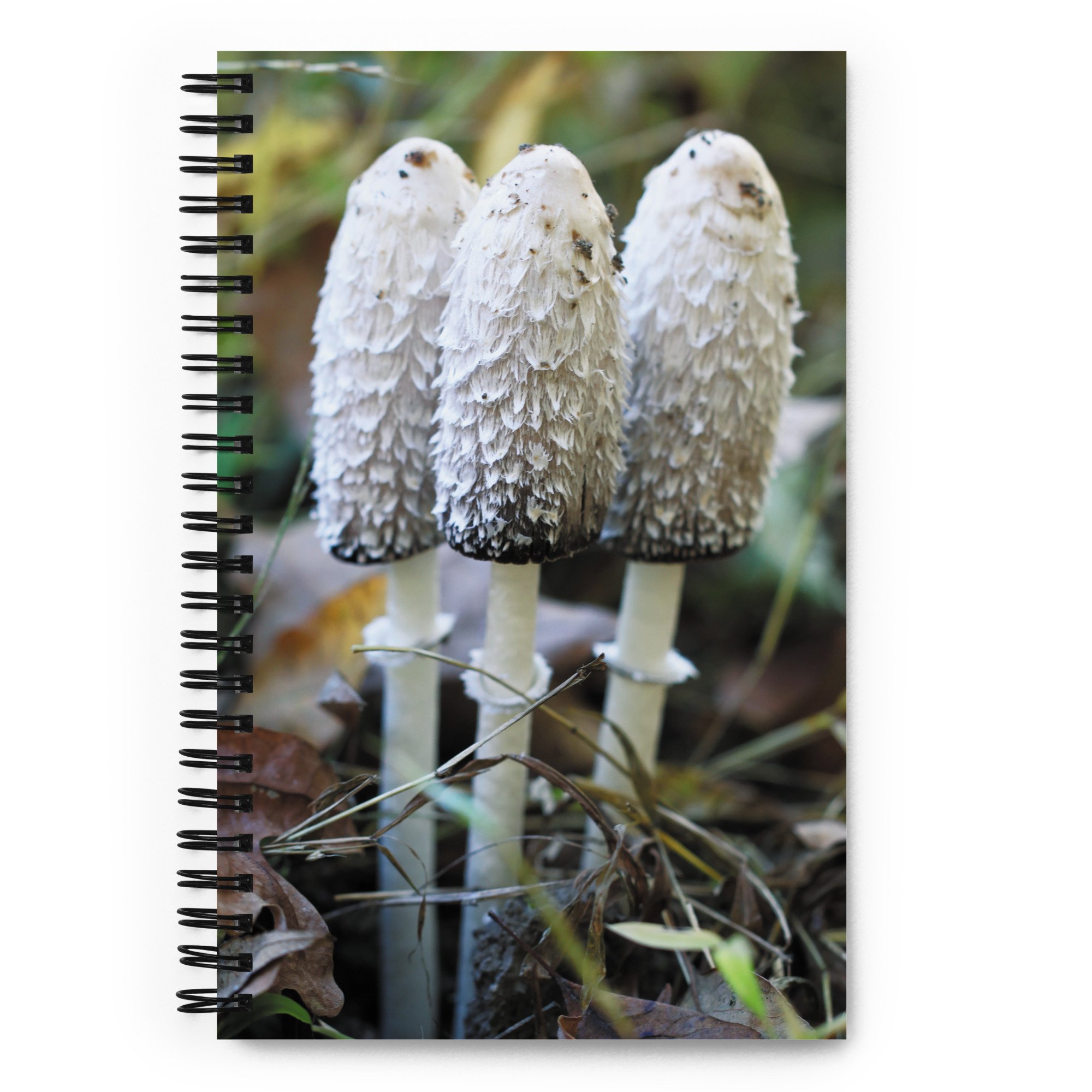 spiral-notebook-white-front-67a66b28190ed.jpg