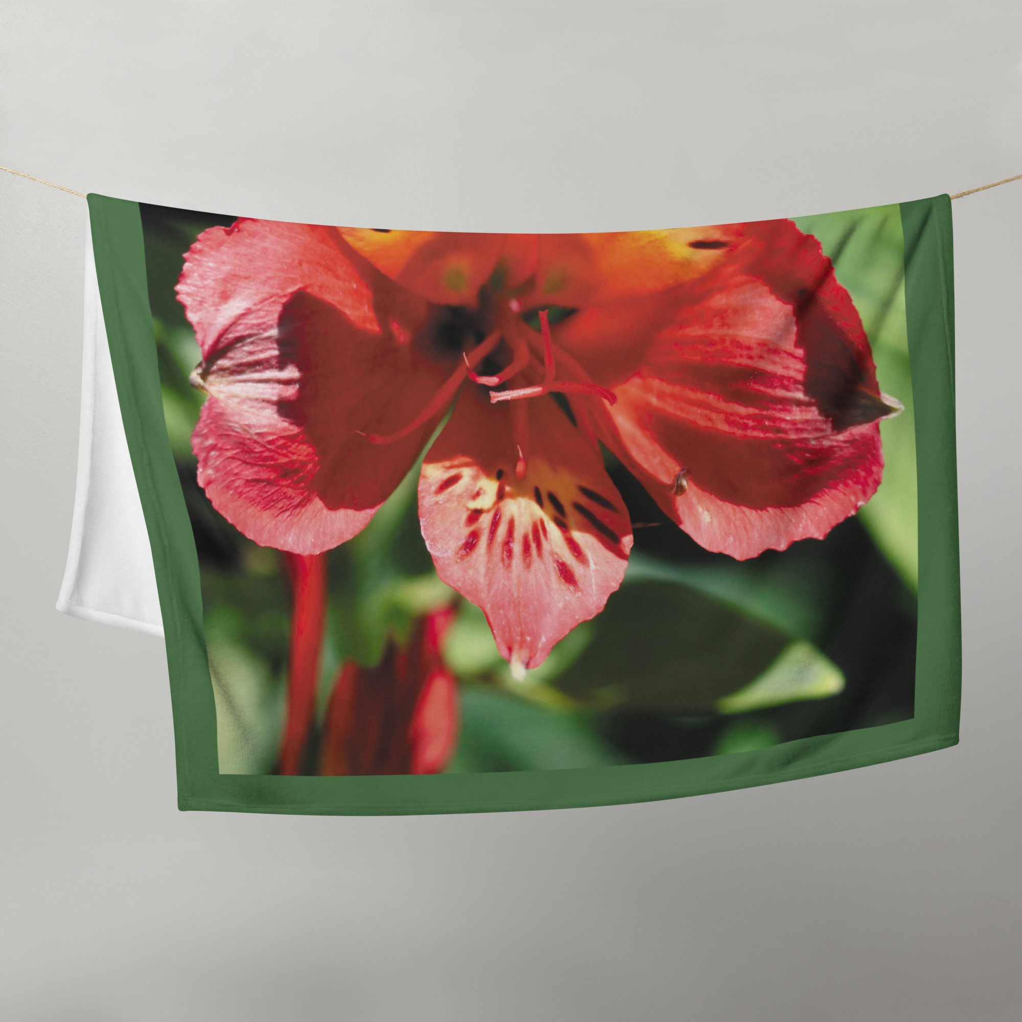 throw-blanket-50x60-front-6733ce73b95e9.jpg