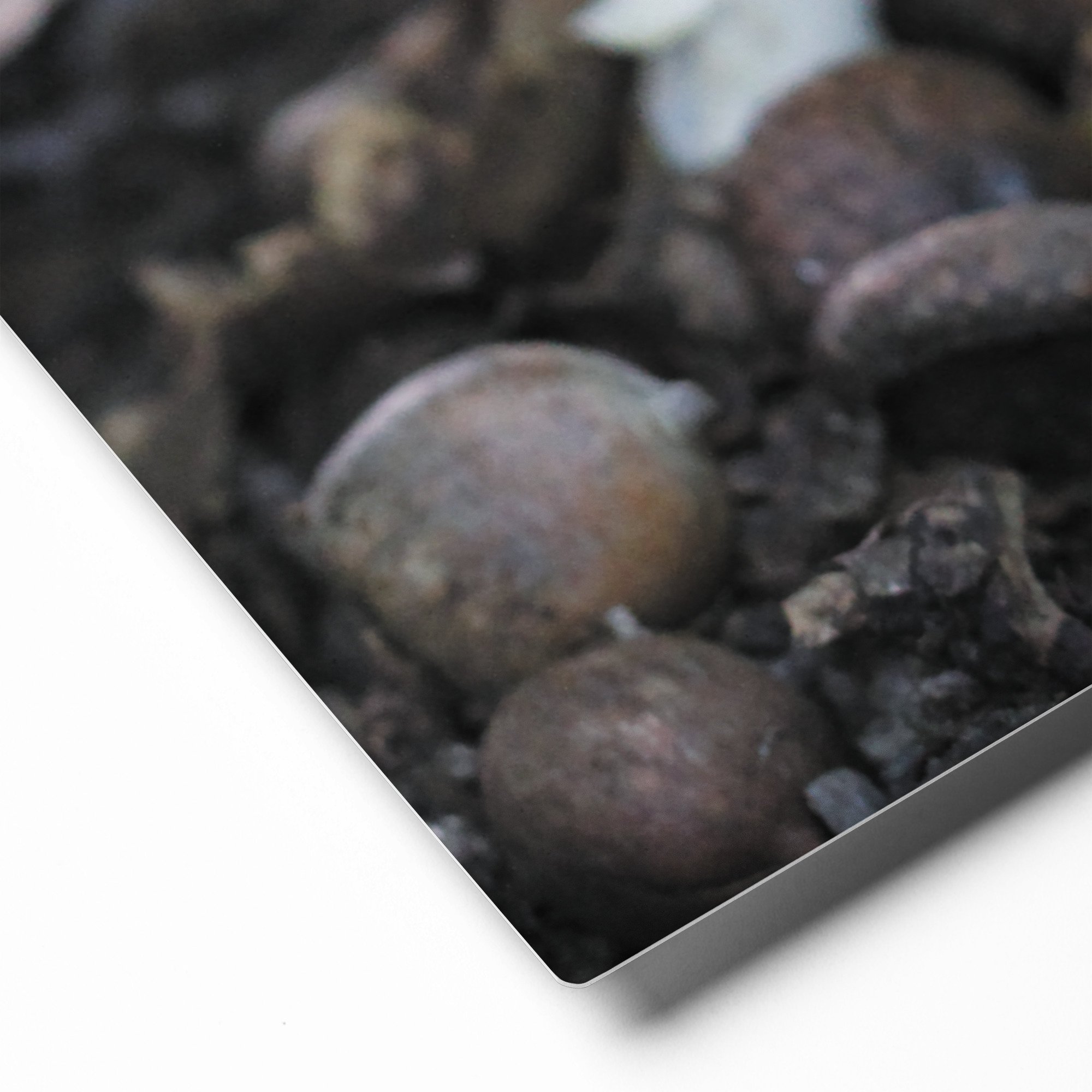 glossy-metal-print-(in)-white-11x14-product-details-671acb9973453.jpg