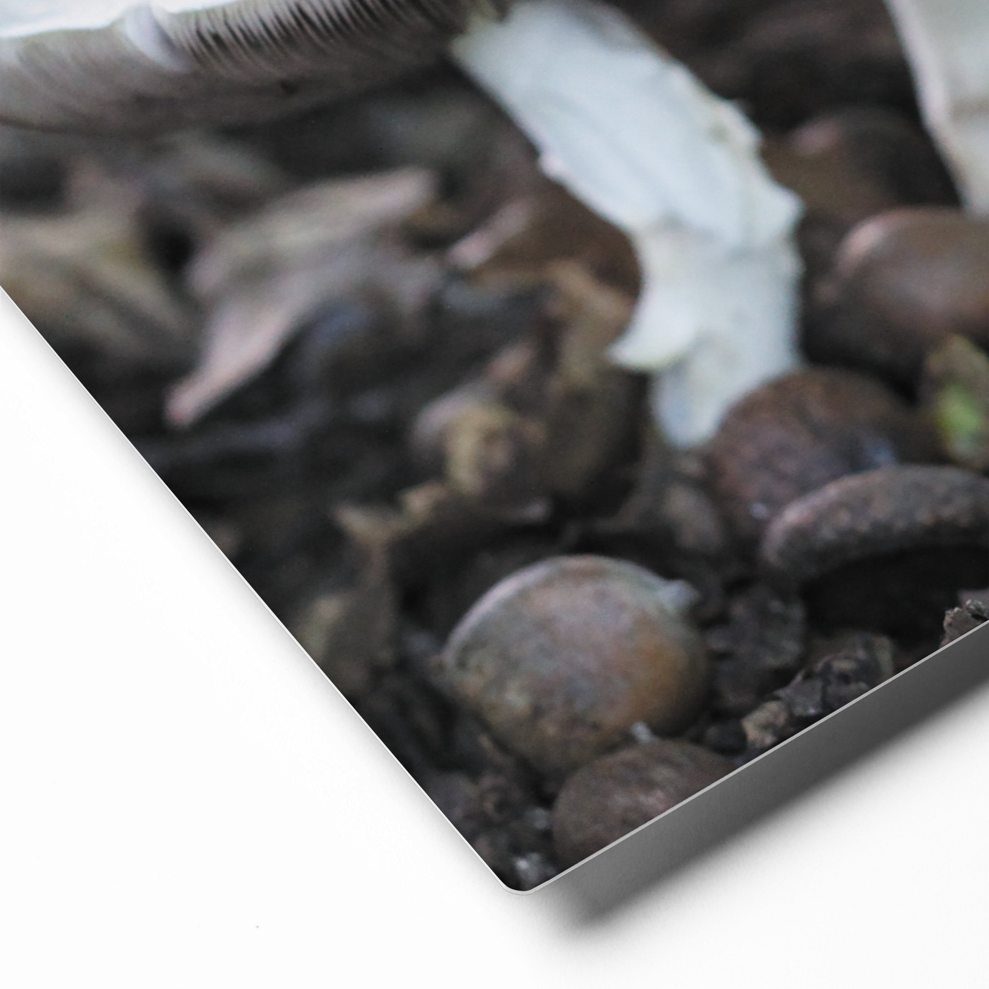 glossy-metal-print-(in)-white-16x20-product-details-671acb9973646.jpg