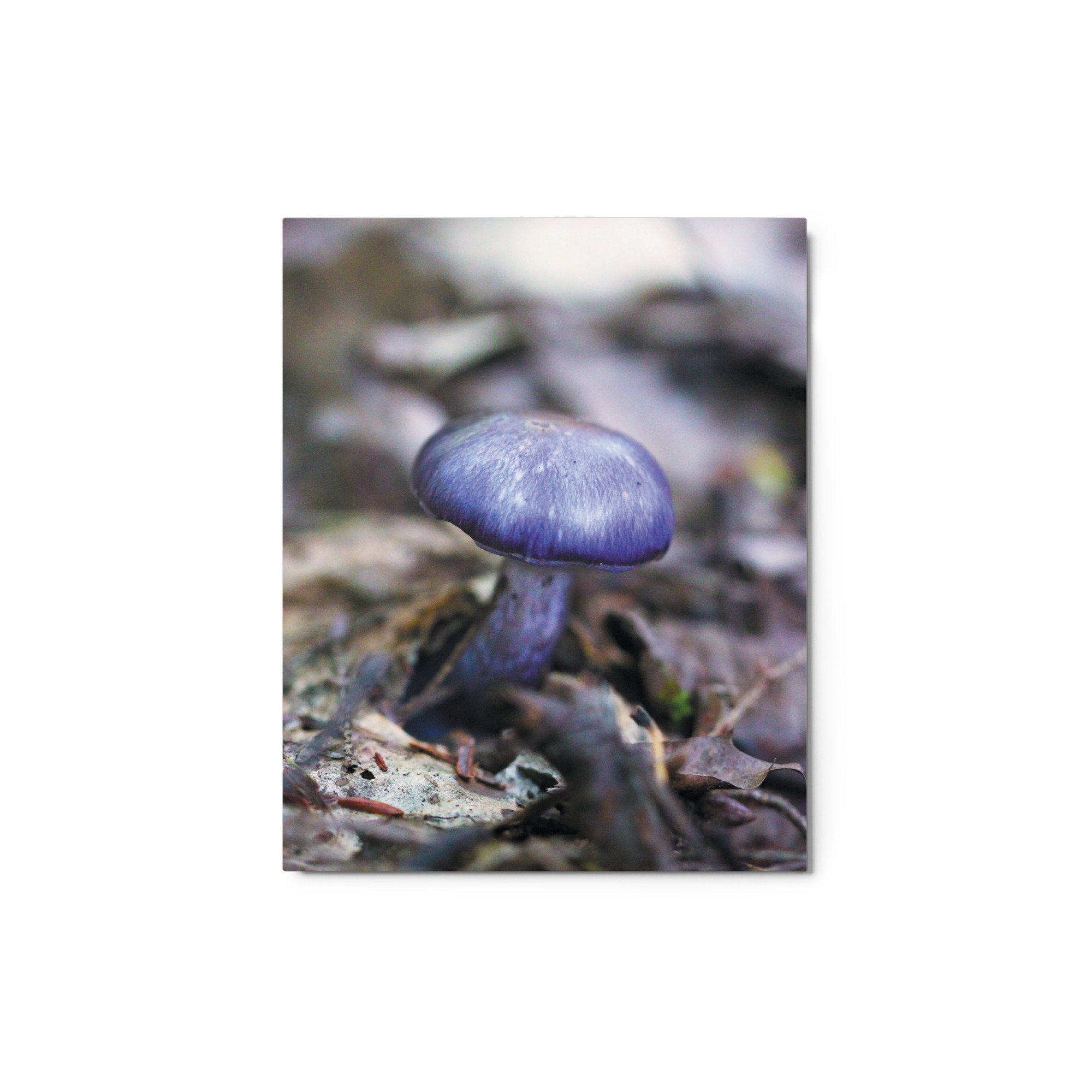glossy-metal-print-(in)-white-8x10-front-671ab2d01456d.jpg