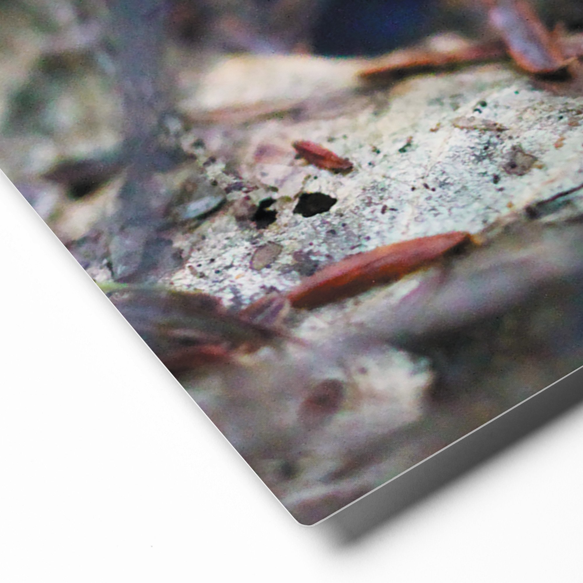 glossy-metal-print-(in)-white-11x14-product-details-671ab2d0147f4.jpg
