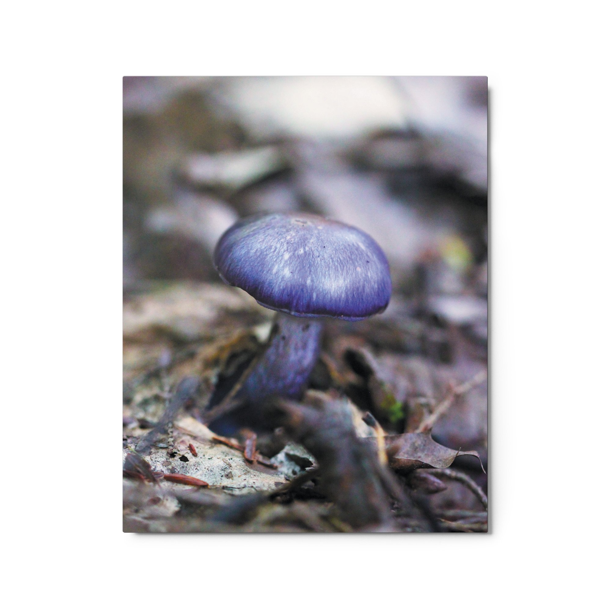 glossy-metal-print-(in)-white-16x20-front-671ab2d0148fb.jpg